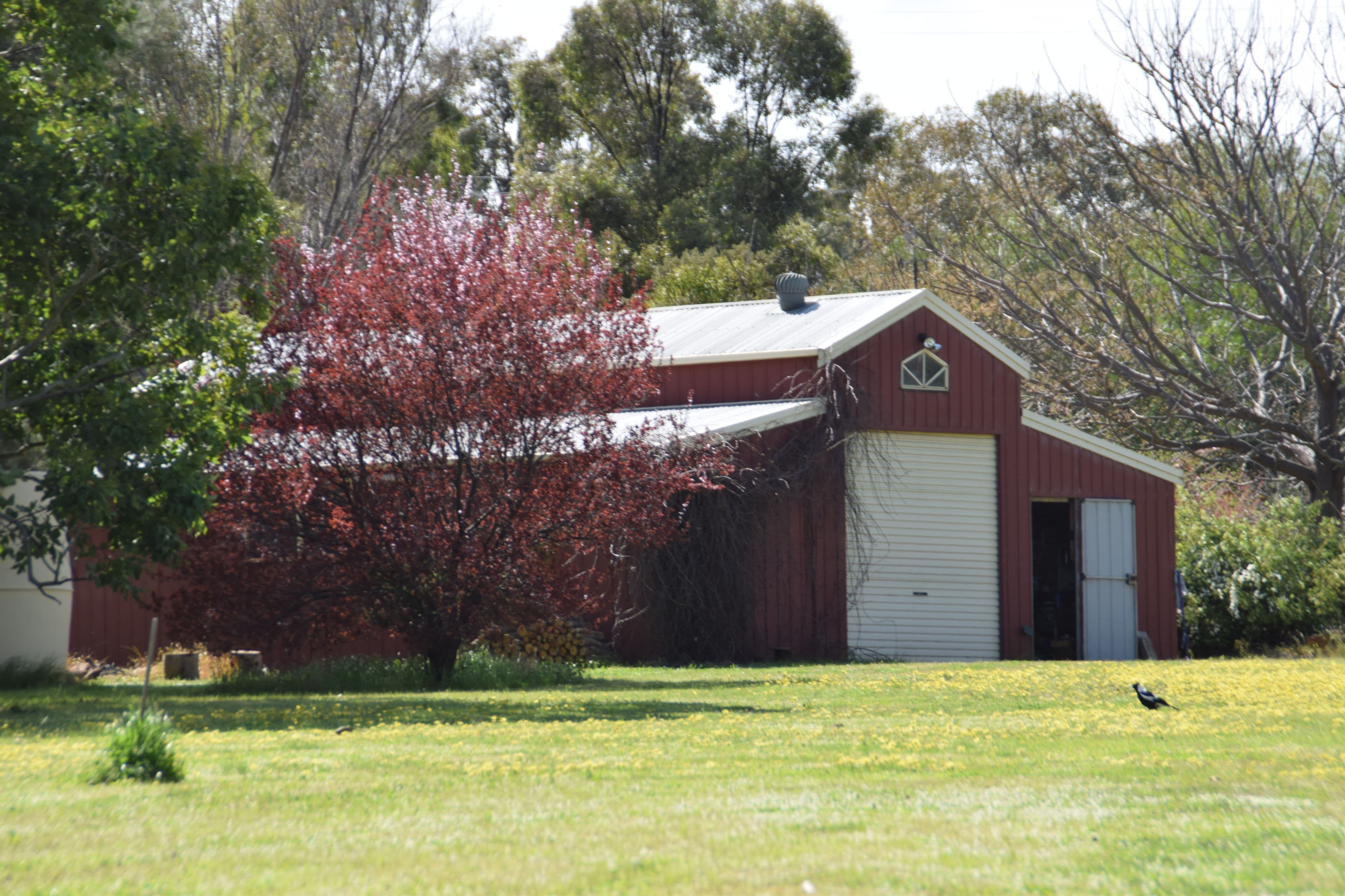 1R Beemery Road, Dubbo NSW 2830, Dubbo - Thumbnail 4