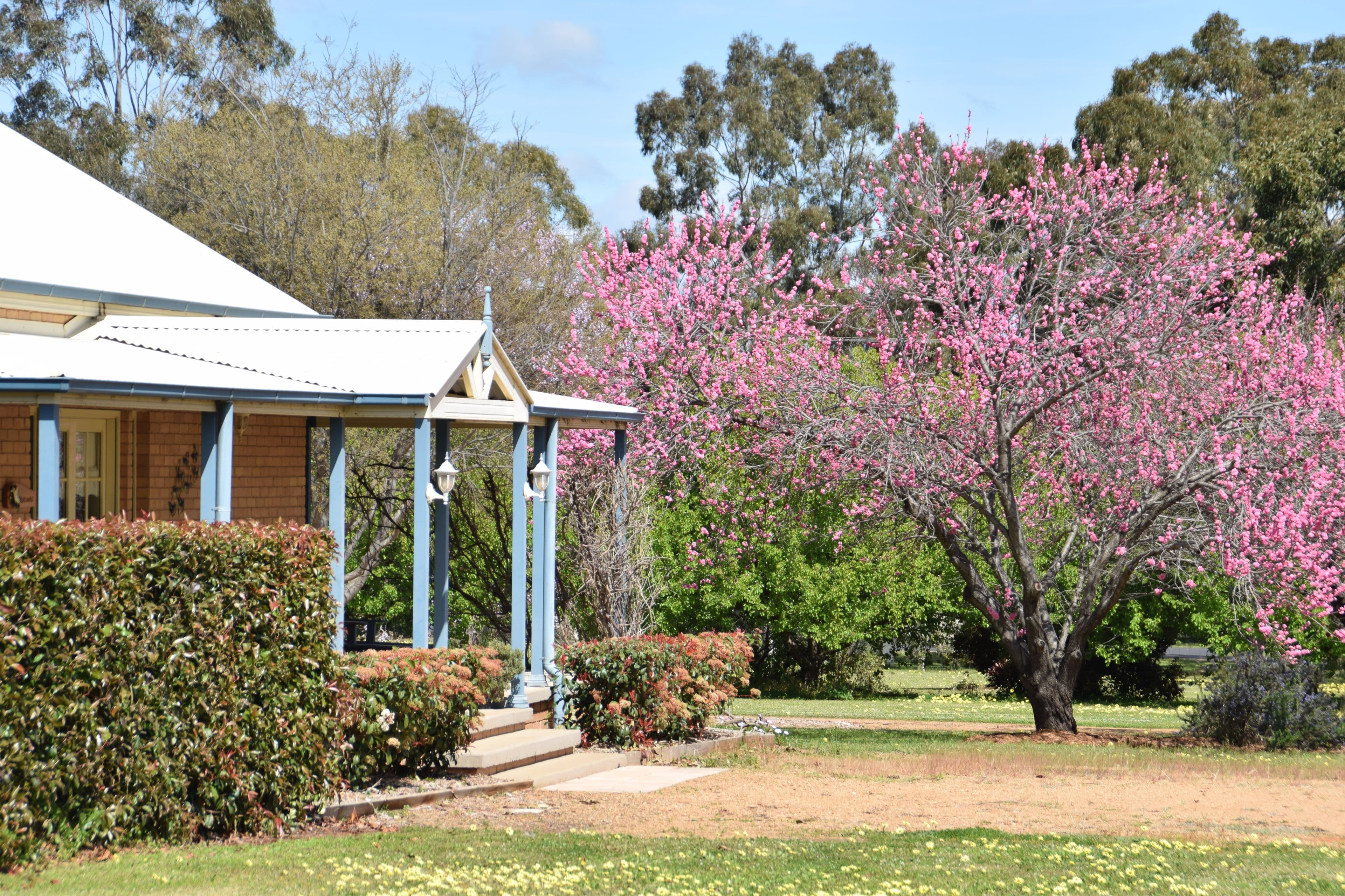 1R Beemery Road, Dubbo NSW 2830, Dubbo - Thumbnail 5