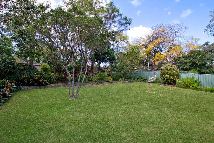 12 Austin Street, LANE COVE NSW 2066, Lane Cove - Thumbnail 2
