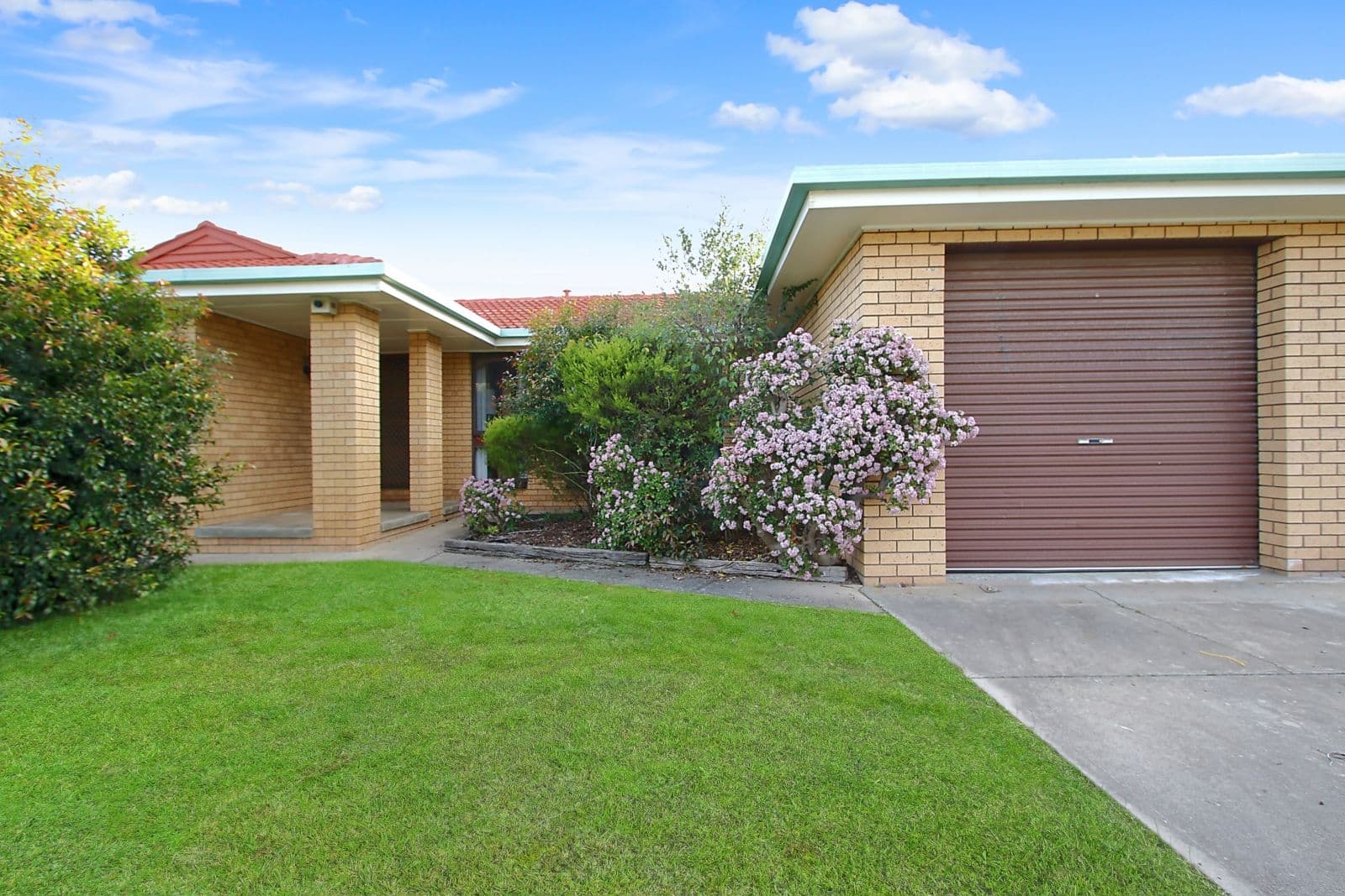 559 Iluka Crescent, Lavington NSW 2641, Lavington - Thumbnail 3