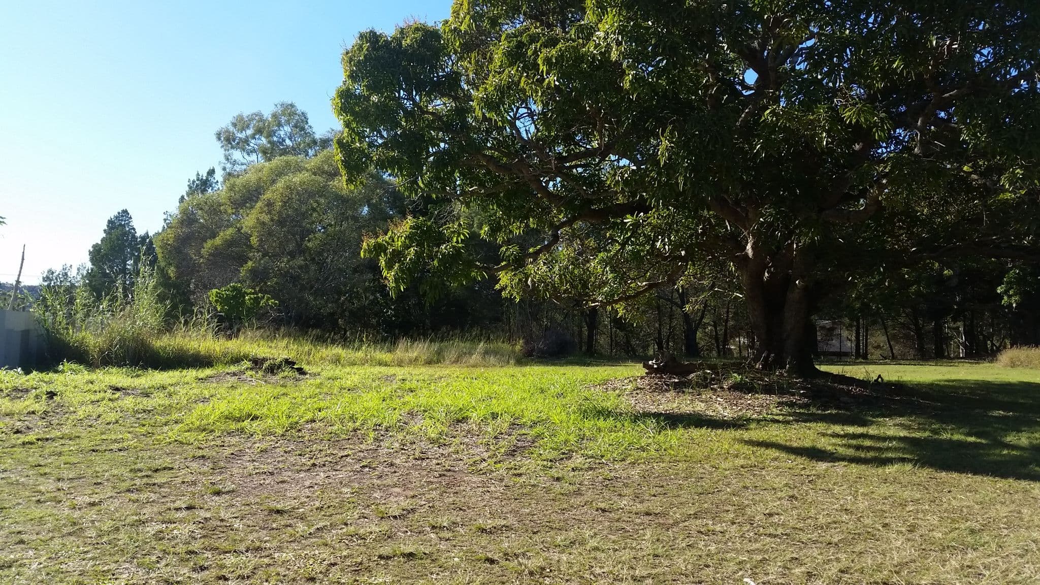 39 Bayswater Road, Russell Island QLD 4184, Russell Island - Thumbnail 2