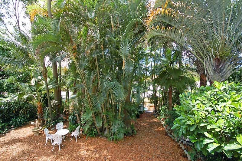 107  Pope Street, TARRAGINDI QLD 4121, Tarragindi - Thumbnail 3