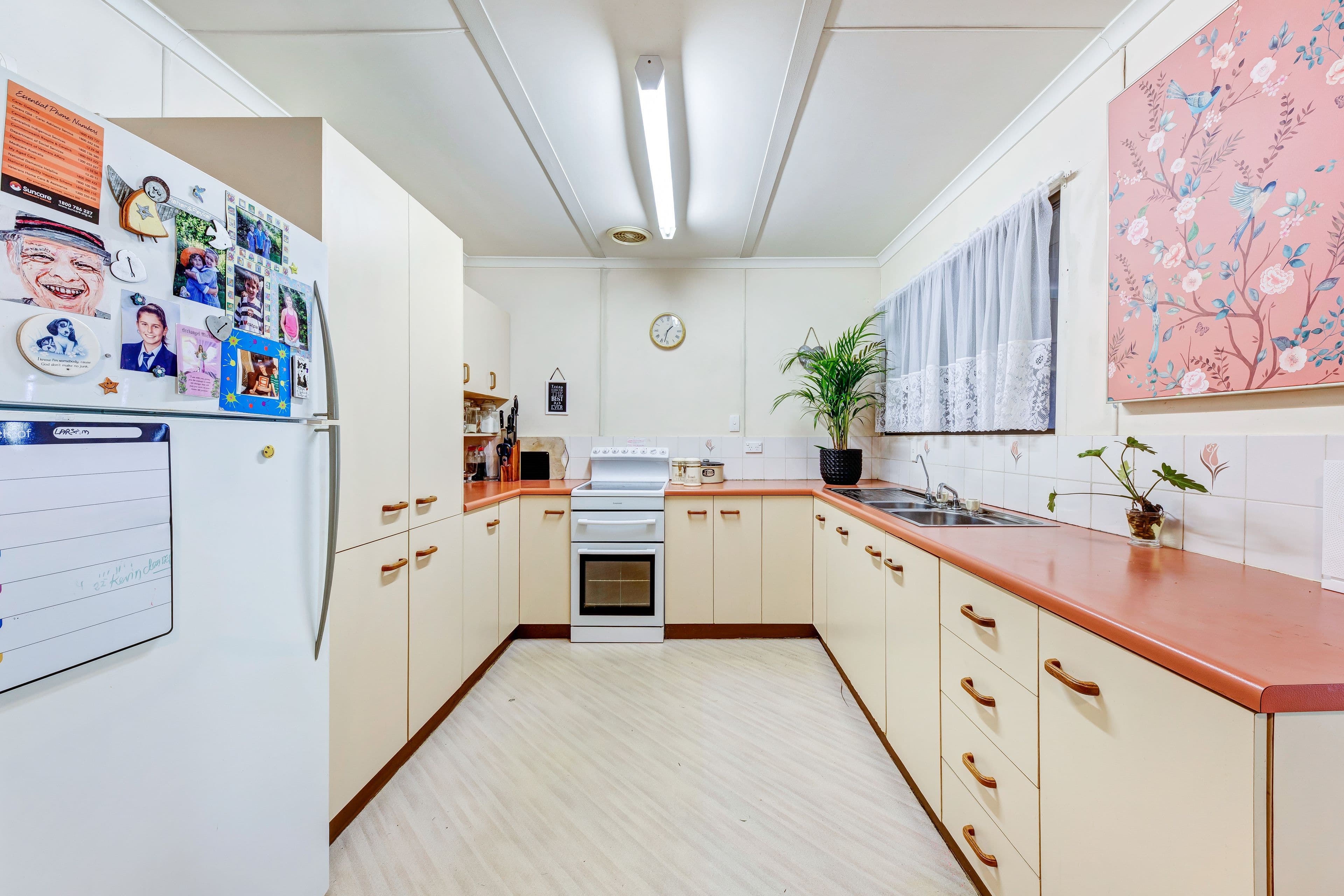 1 Osprey Street, Bli Bli QLD 4560, Bli Bli - Thumbnail 4