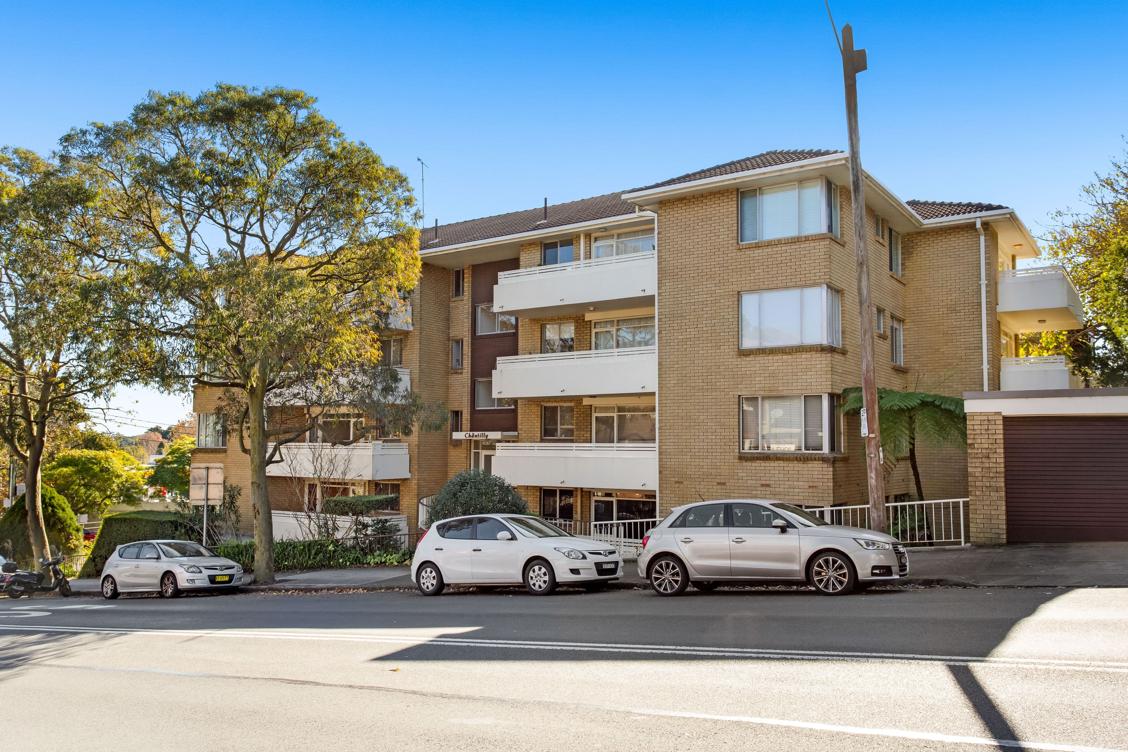 17 William Street, Randwick NSW 2031, Randwick - Thumbnail 8