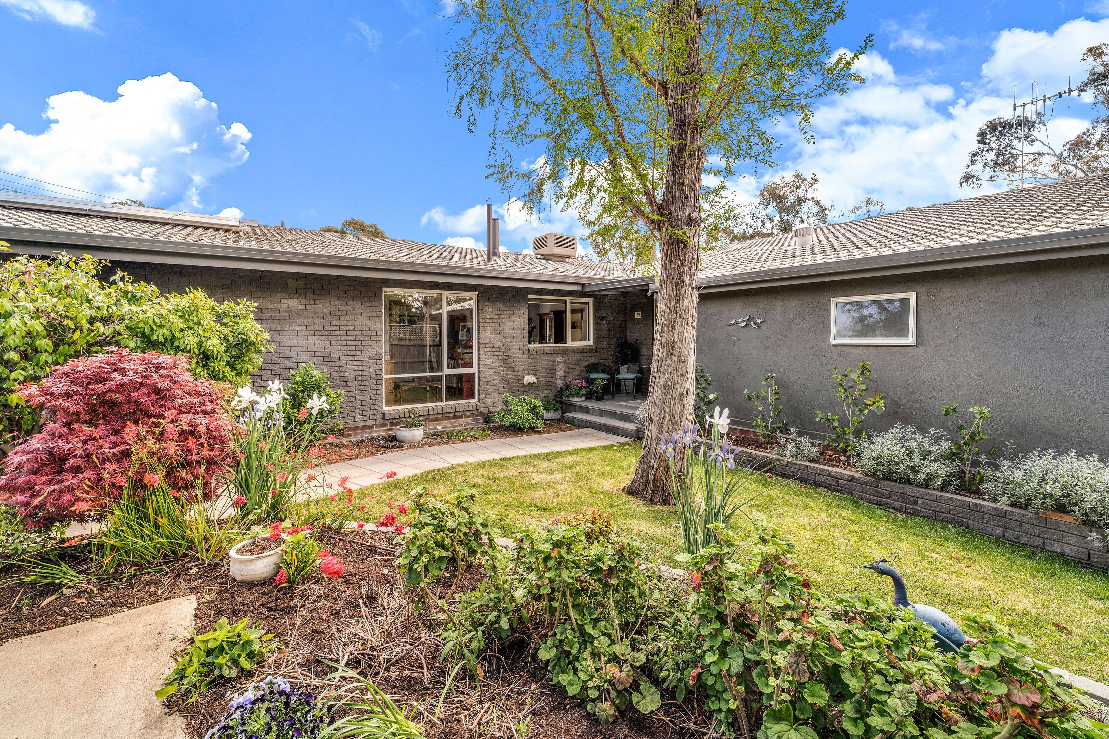 40 Mackellar Crescent, Cook ACT 2614, Cook - Thumbnail 3