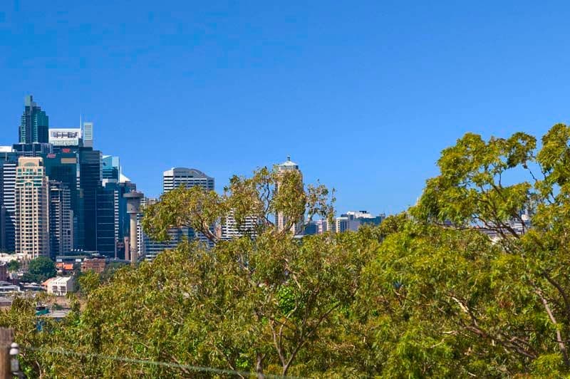 18 McKye Street, WAVERTON NSW 2060, Waverton - Thumbnail 8