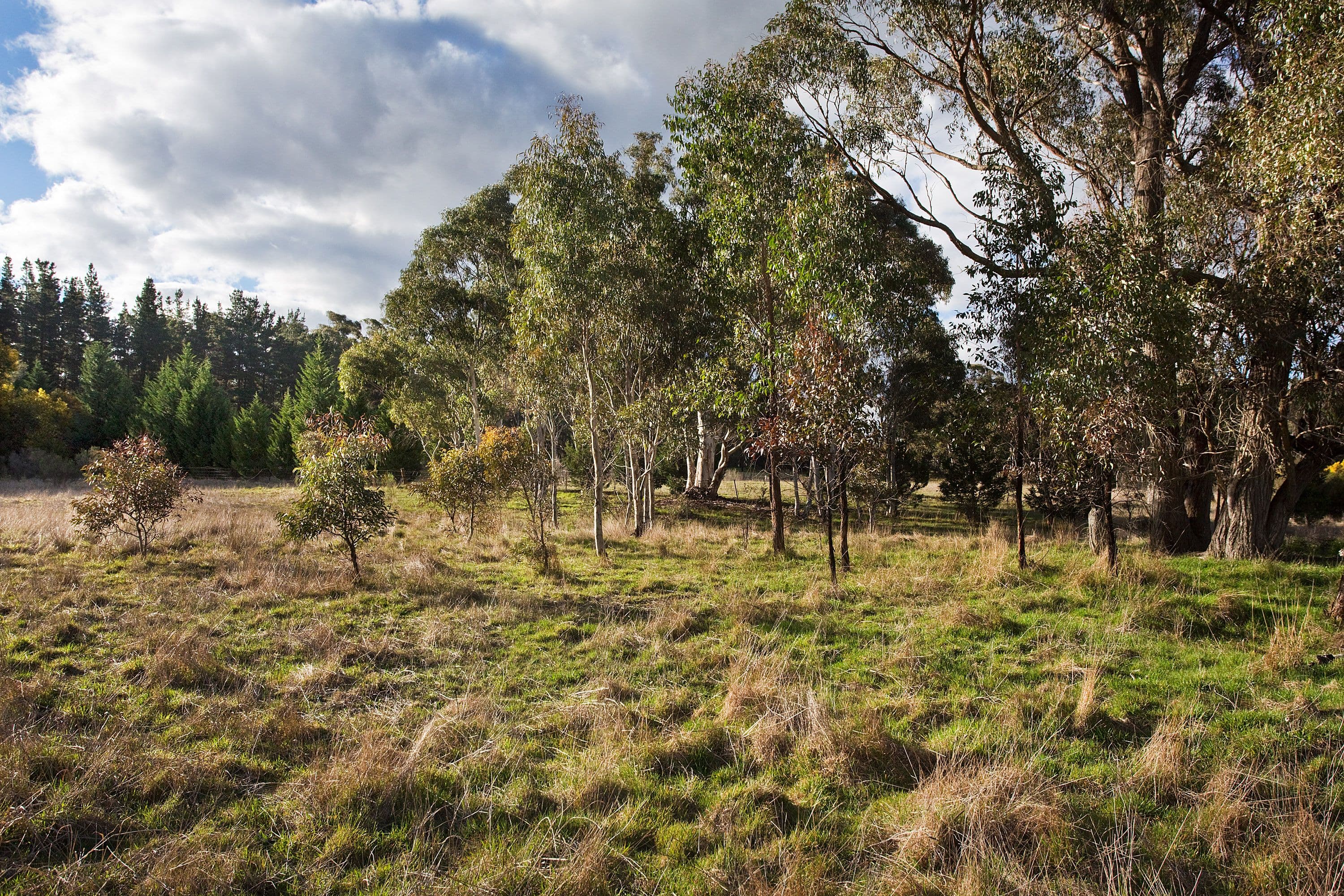 1161 Browns Gap Road, Little Hartley NSW 2790, Little Hartley - Thumbnail 4