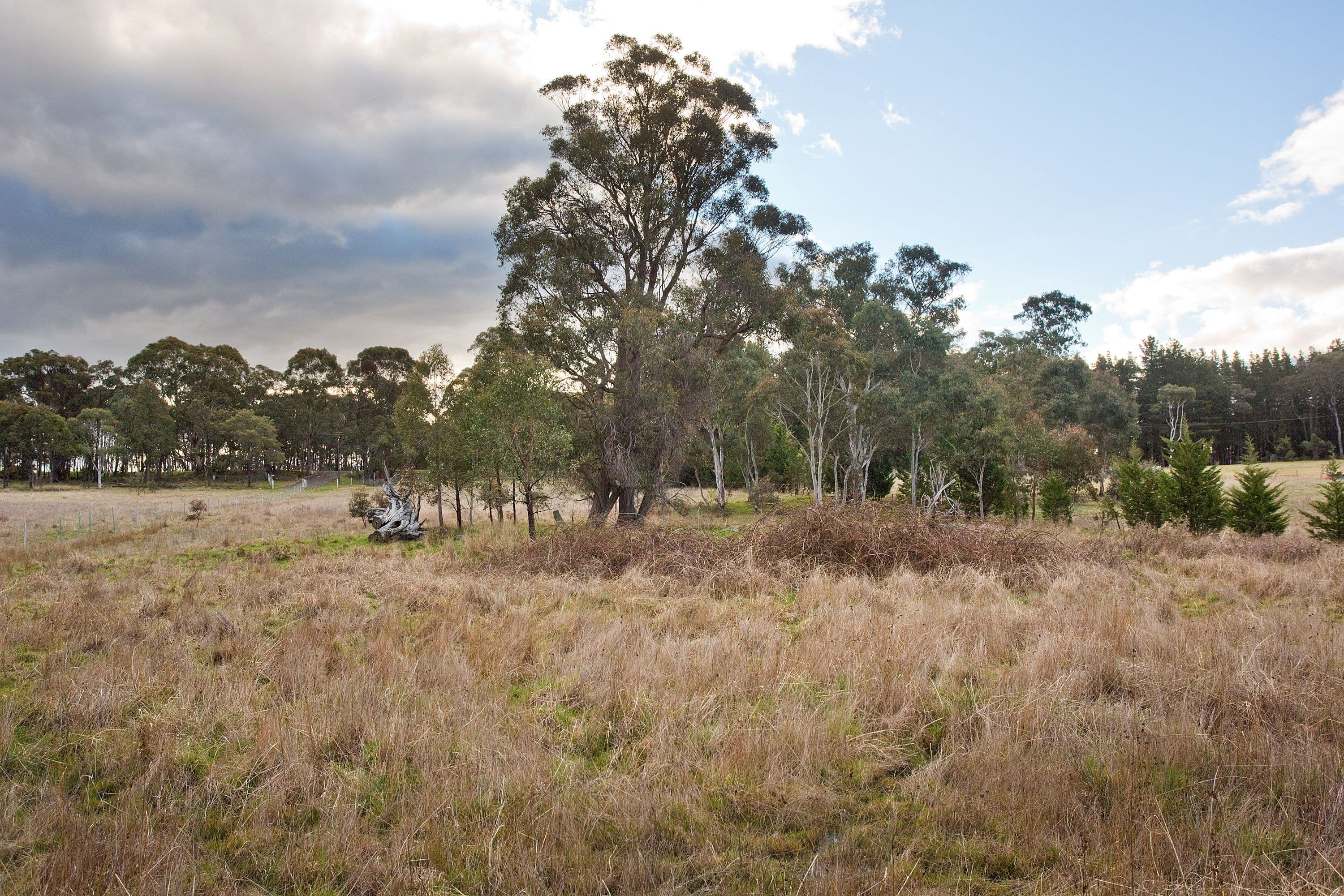 1161 Browns Gap Road, Little Hartley NSW 2790, Little Hartley - Thumbnail 6