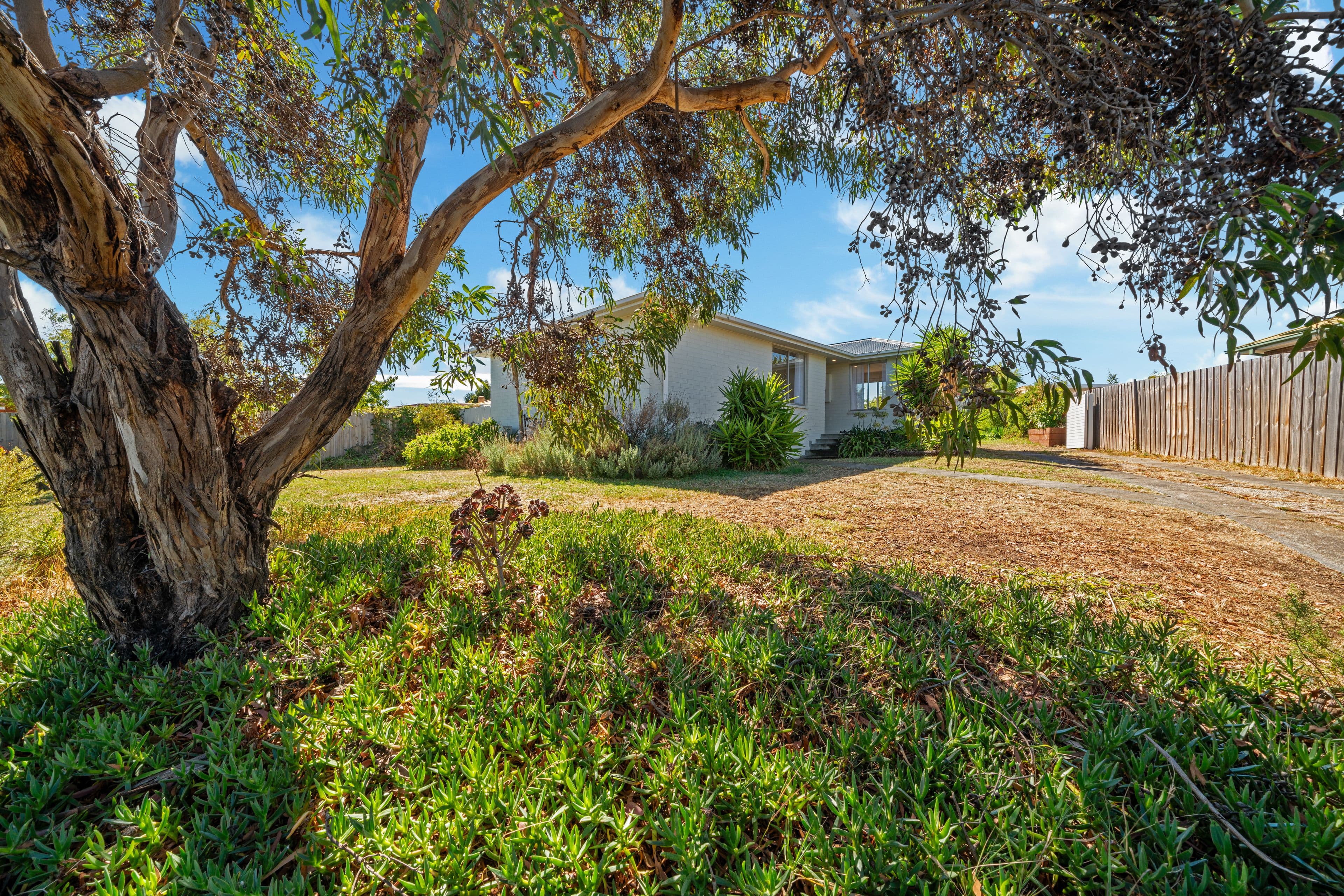 18 Lamprill Circle, Herdsmans Cove TAS 7030, Herdsmans Cove - Thumbnail 4
