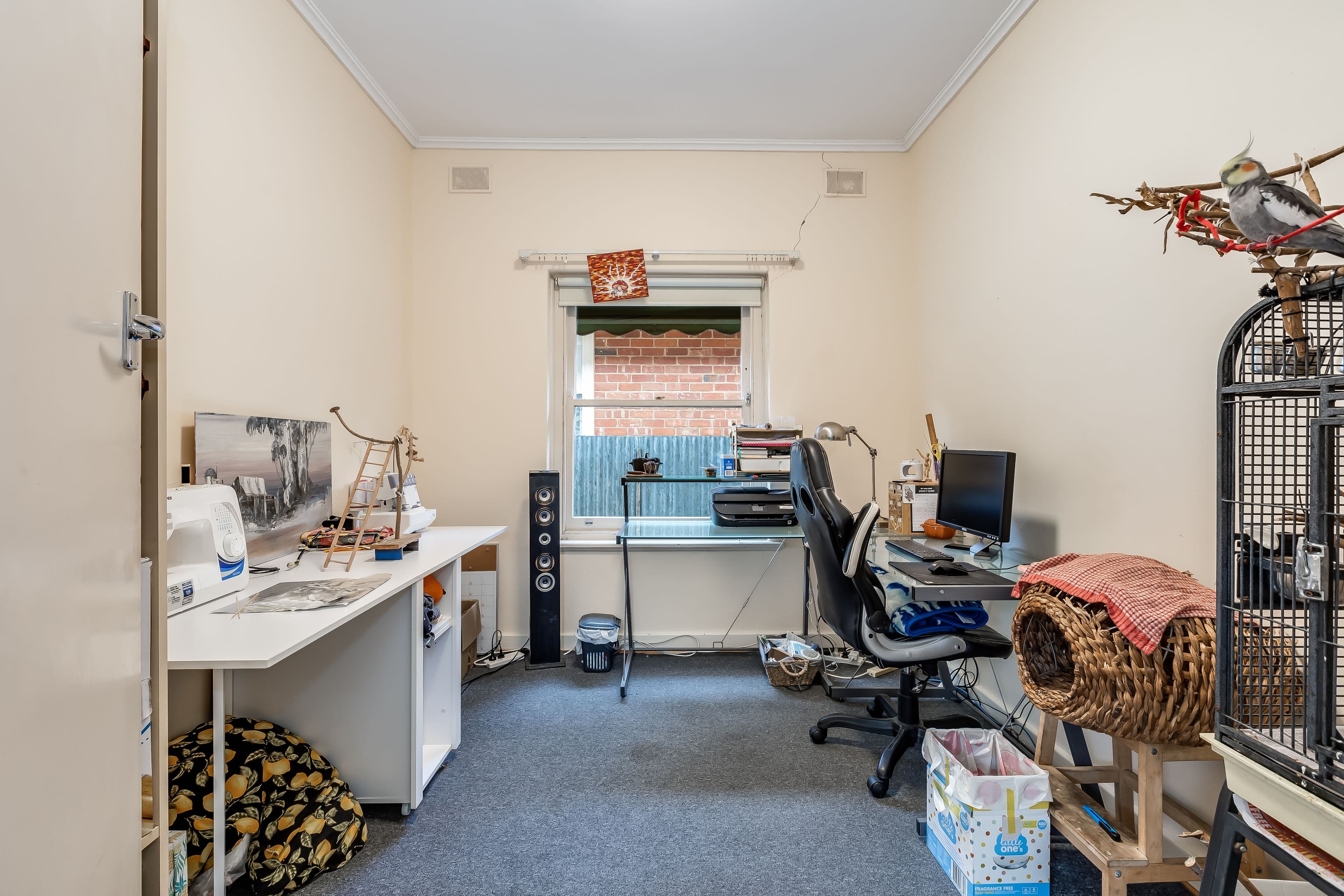 49 Beadnall Terrace, Glengowrie SA 5044, Glengowrie - Thumbnail 6
