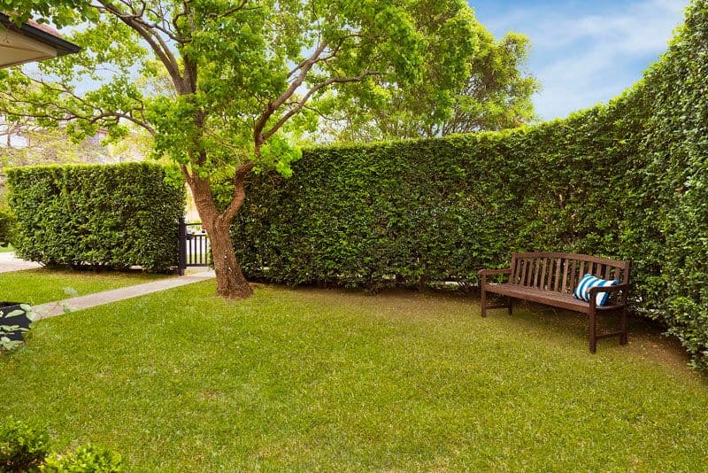 16 Penkivil Street, WILLOUGHBY NSW 2068, Willoughby - Thumbnail 8