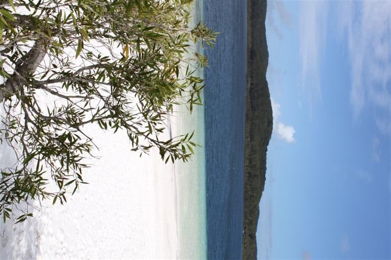 26 Williams Avenue, Fraser Island QLD 4581, Fraser Island - Thumbnail 7
