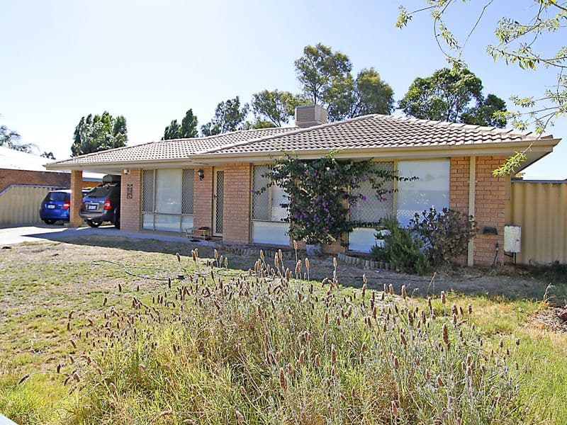 13 Nyandi Court, THORNLIE WA 6108, Thornlie - Thumbnail 5