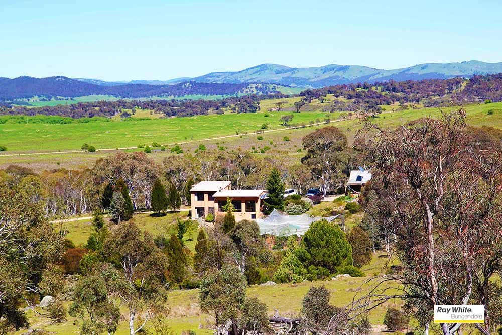 2219 Hoskinstown Road, Hoskinstown - Image 1