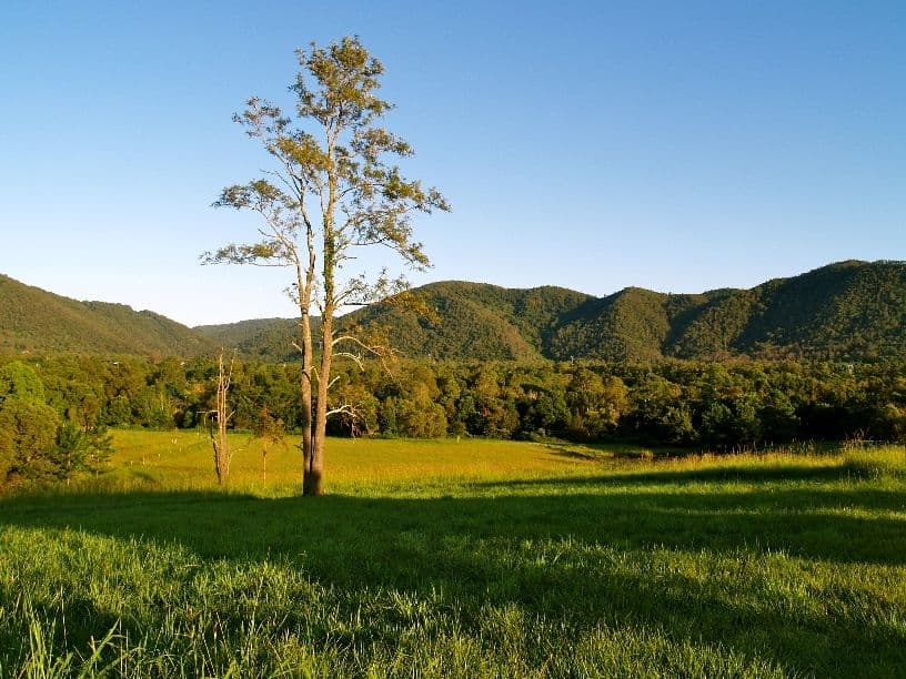 699 Mount Glorious Road, HIGHVALE QLD 4520, Highvale - Image 1