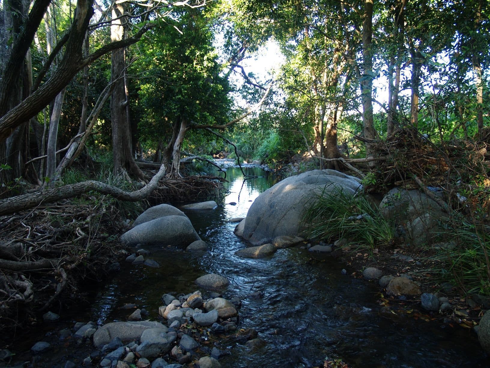 699 Mount Glorious Road, HIGHVALE QLD 4520, Highvale - Thumbnail 3