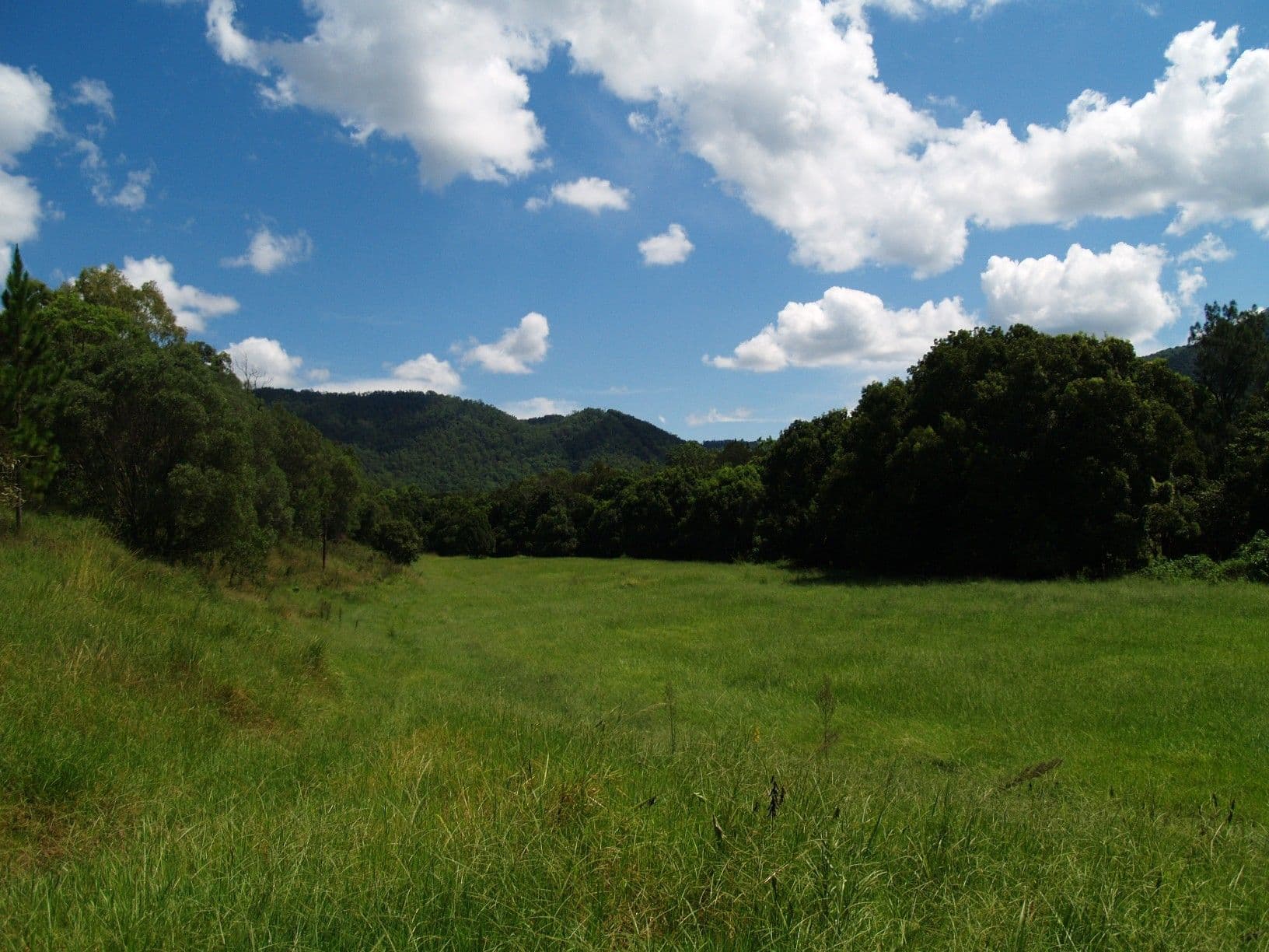 699 Mount Glorious Road, HIGHVALE QLD 4520, Highvale - Thumbnail 5