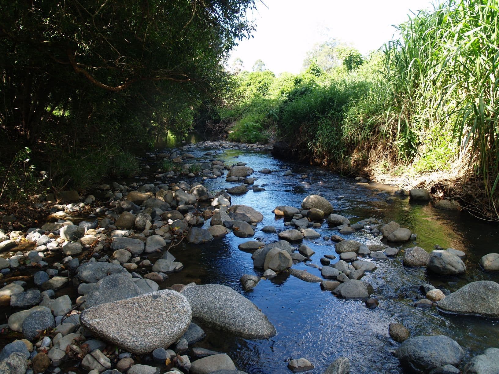 699 Mount Glorious Road, HIGHVALE QLD 4520, Highvale - Thumbnail 6