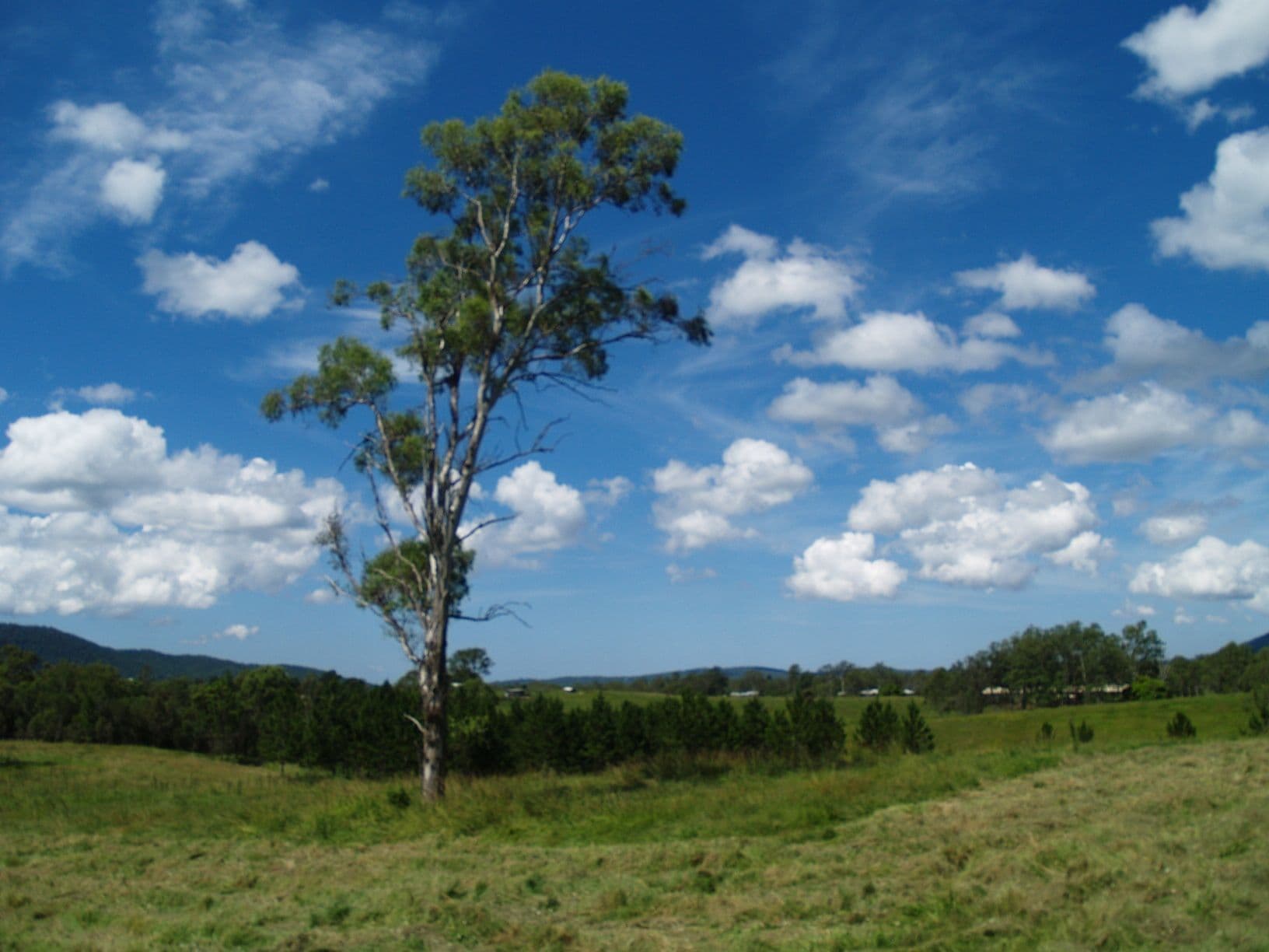 699 Mount Glorious Road, HIGHVALE QLD 4520, Highvale - Thumbnail 7