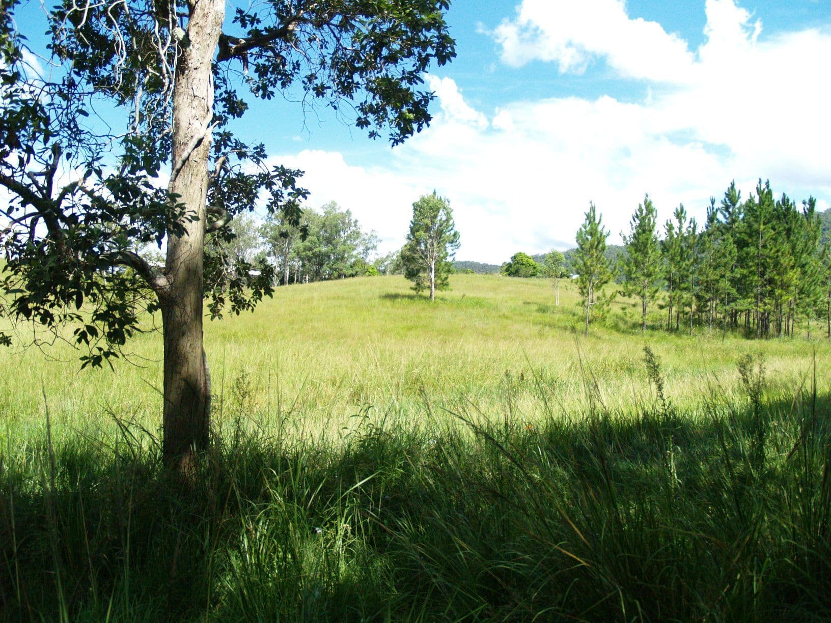 699 Mount Glorious Road, HIGHVALE QLD 4520, Highvale - Thumbnail 8