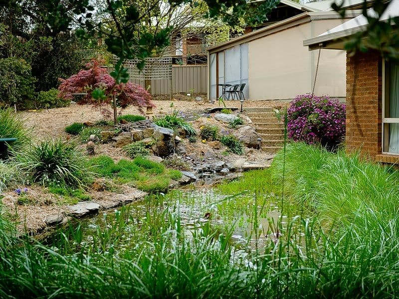 13 Nicholson Street, Caboolture South, QLD, 4510, Caboolture South - Thumbnail 6