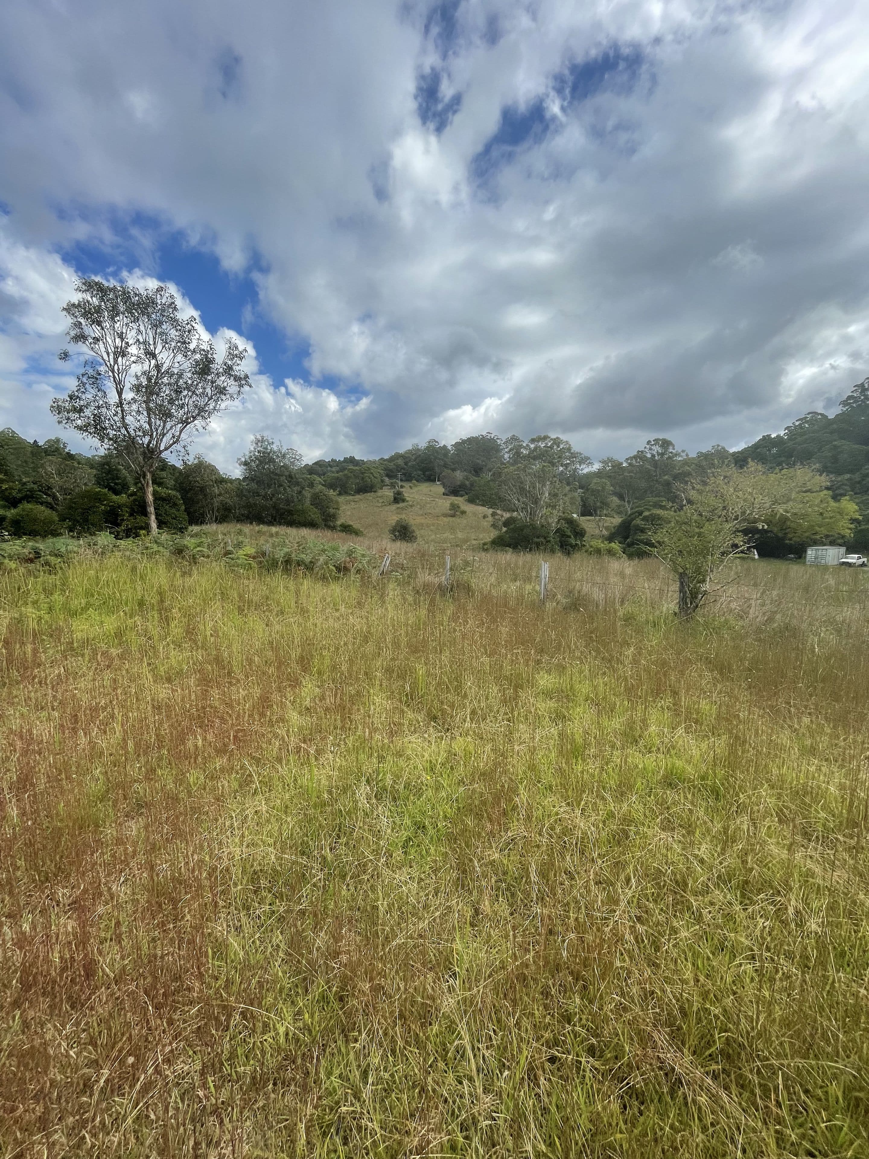 45 Tilbaroo Road, Elands NSW 2429, Elands - Image 1