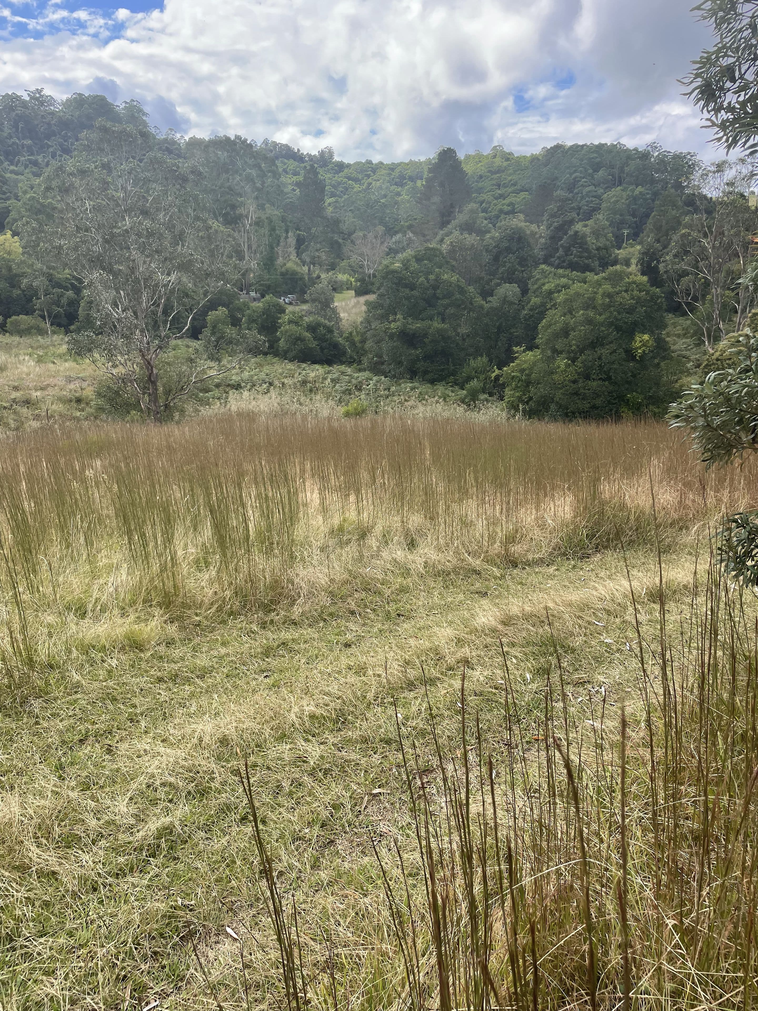 45 Tilbaroo Road, Elands NSW 2429, Elands - Thumbnail 4