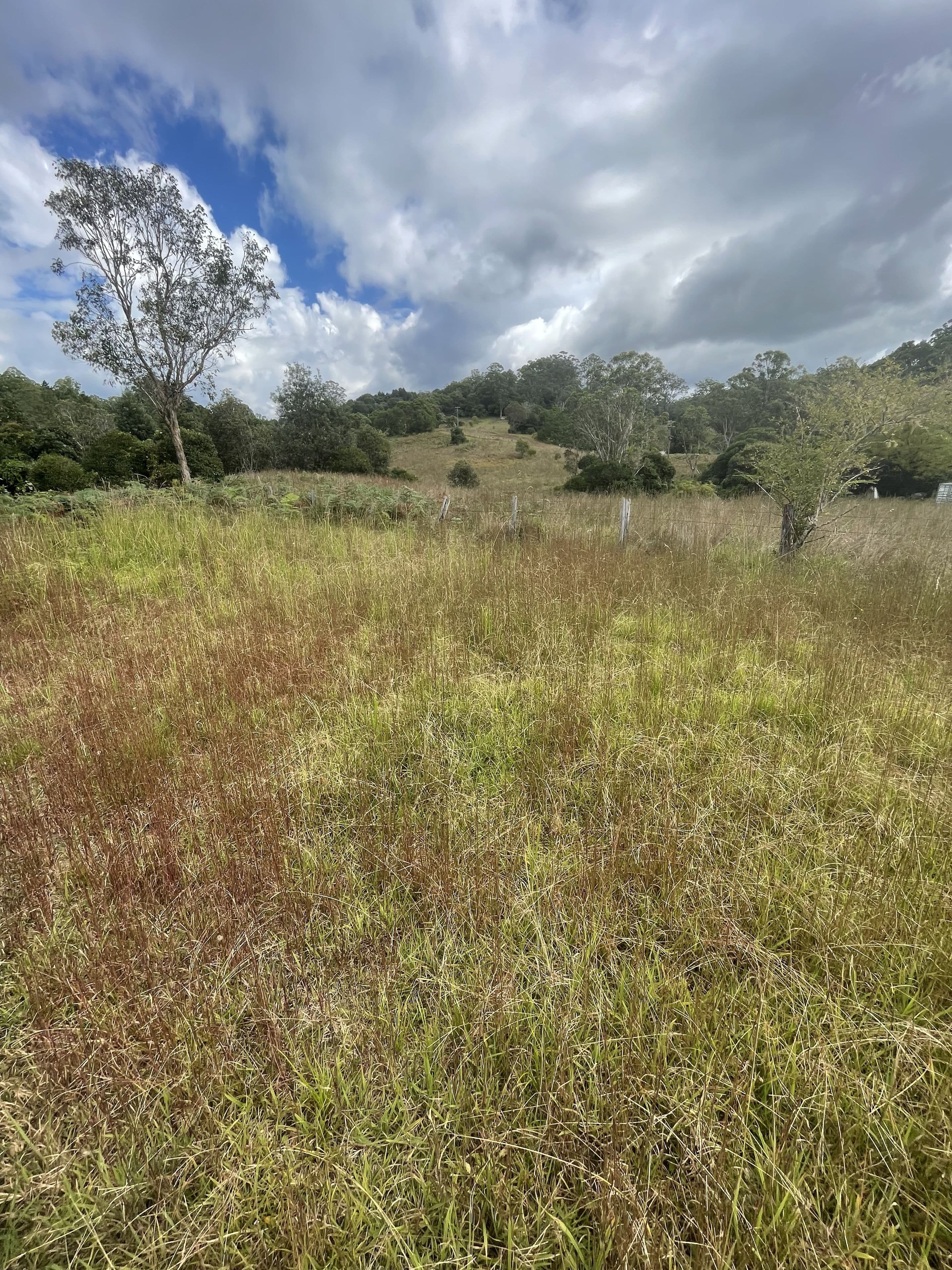 45 Tilbaroo Road, Elands NSW 2429, Elands - Thumbnail 6