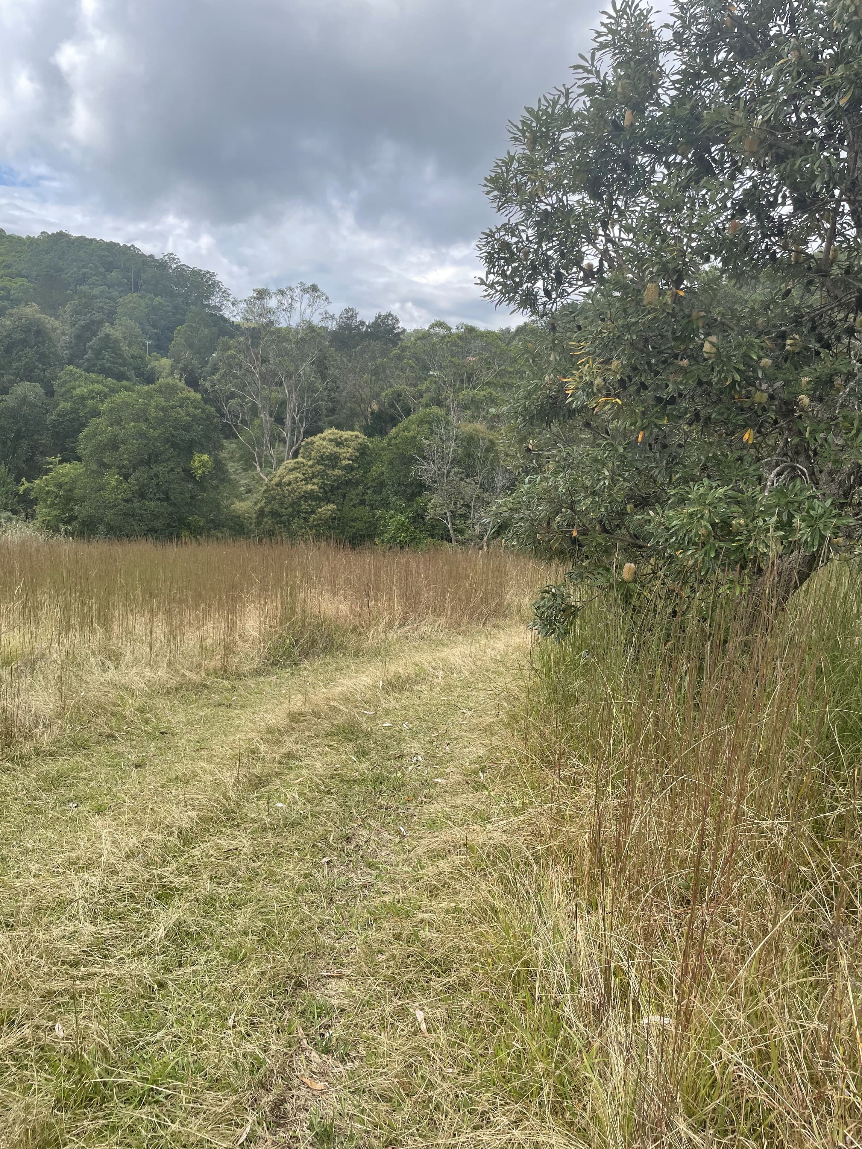 45 Tilbaroo Road, Elands NSW 2429, Elands - Thumbnail 8