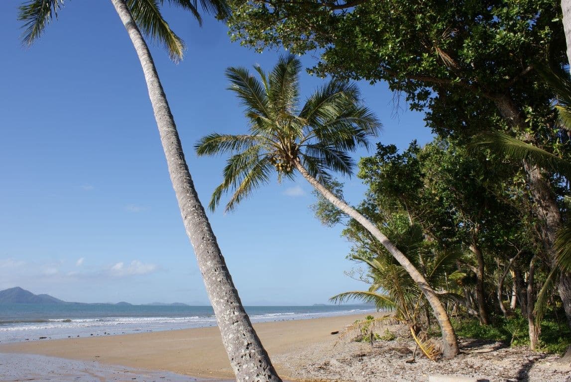 7 Nivosa Court, MISSION BEACH QLD 4852, Mission Beach - Thumbnail 4