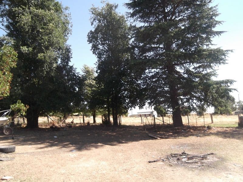 22 Bathurst Street, LYNDHURST NSW 2797, Lyndhurst - Thumbnail 6