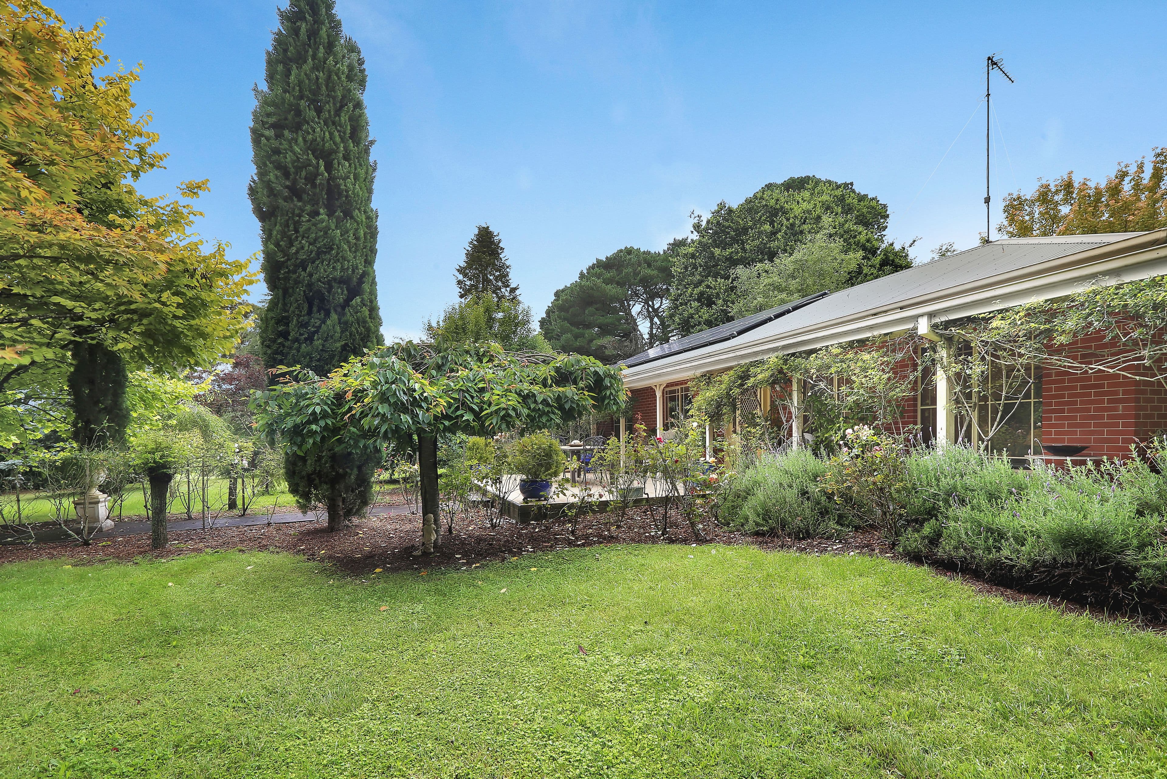 174 Evans Lookout Road, Blackheath NSW 2785, Blackheath - Thumbnail 3