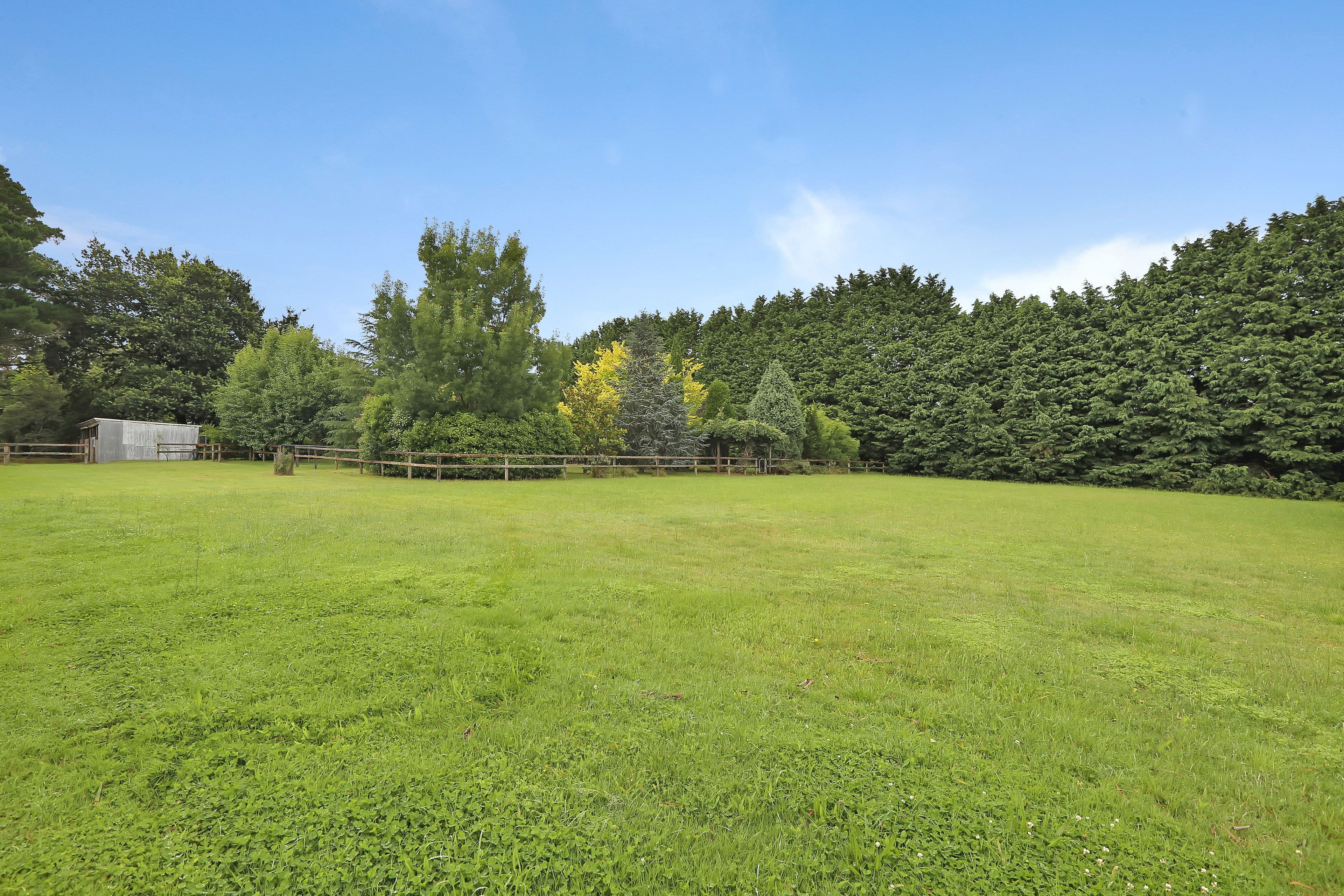 174 Evans Lookout Road, Blackheath NSW 2785, Blackheath - Thumbnail 6