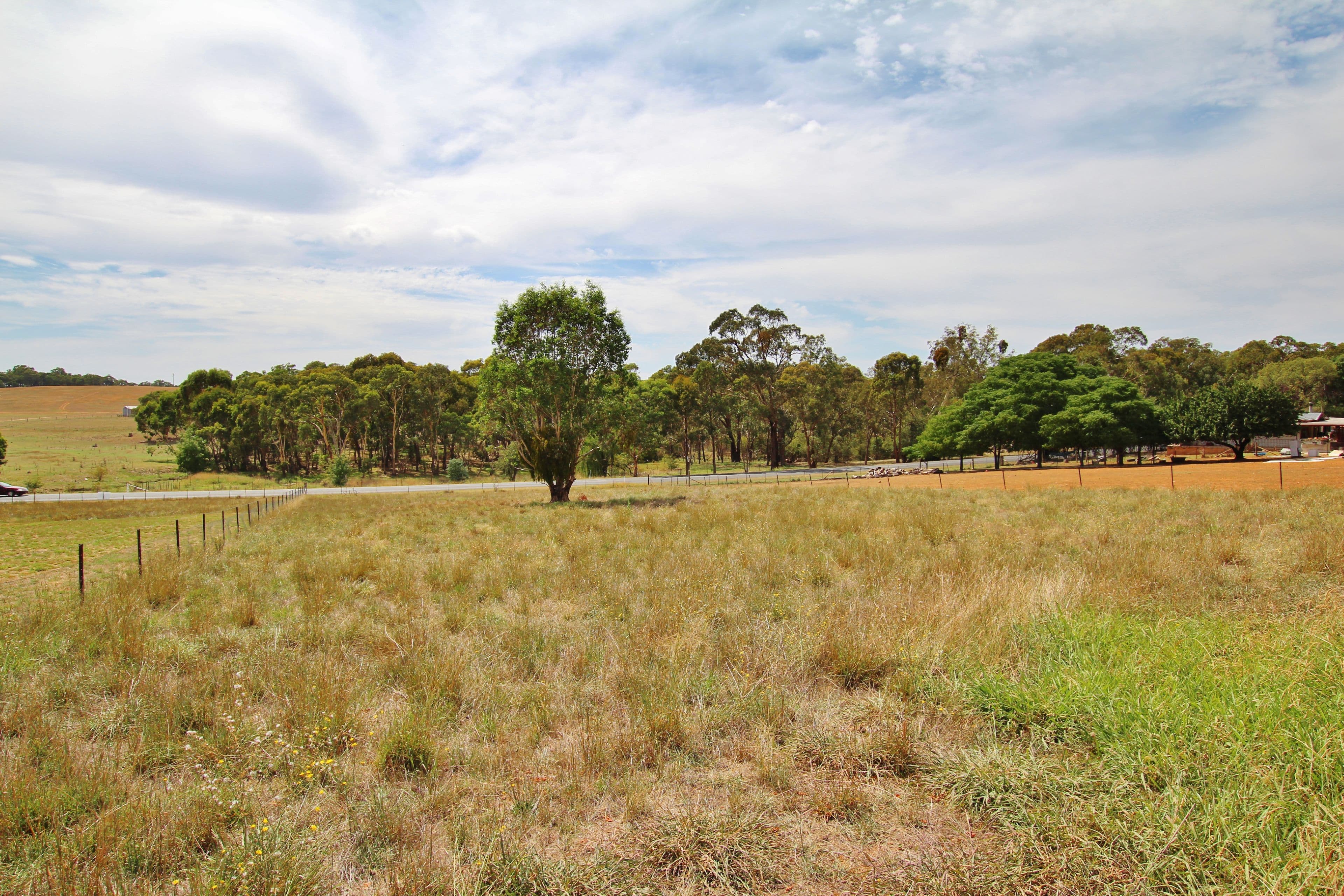Lot 3 Rose Street, Wombat Via, Young NSW 2594, Young - Thumbnail 2