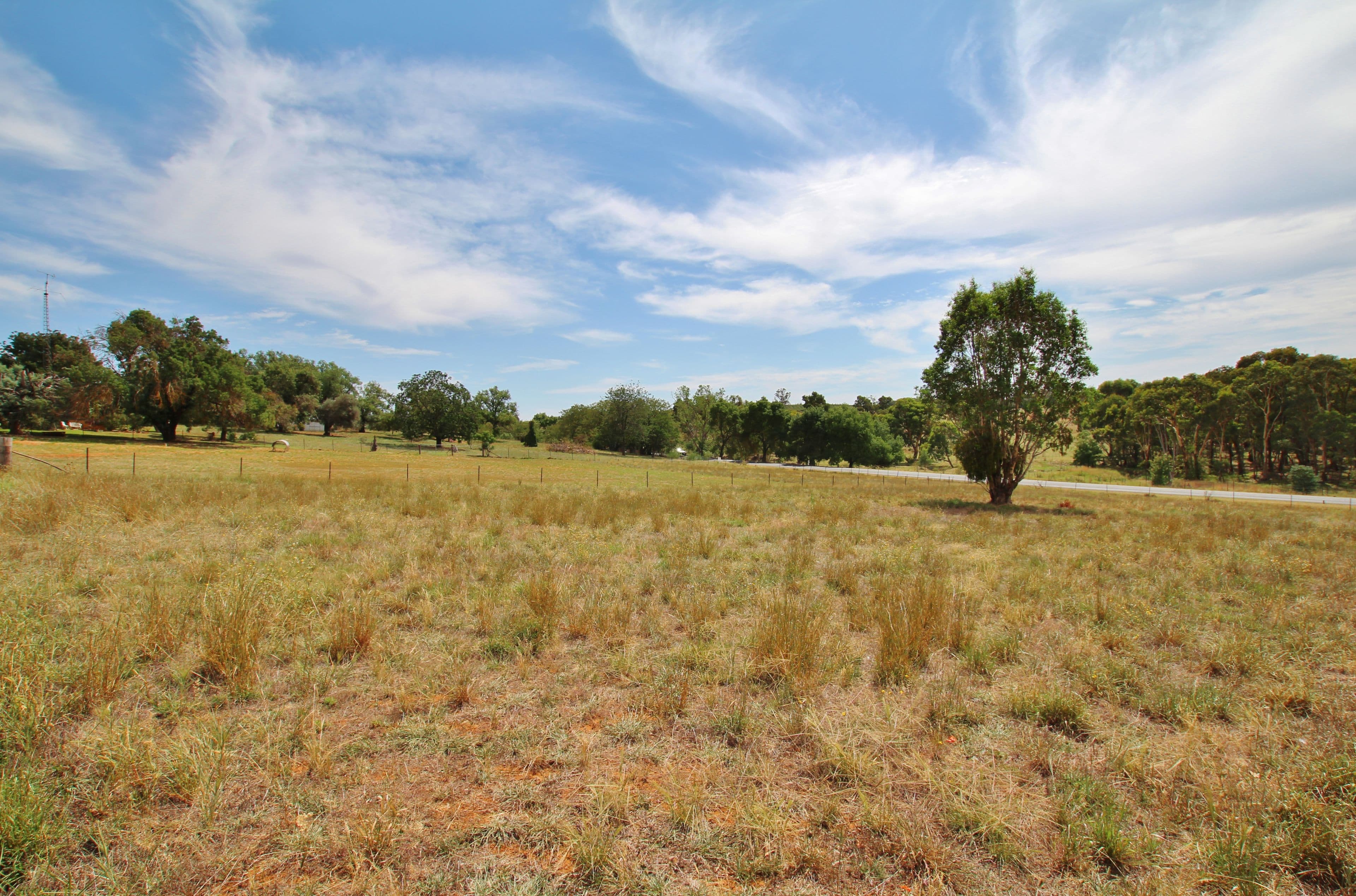 Lot 3 Rose Street, Wombat Via, Young NSW 2594, Young - Thumbnail 3