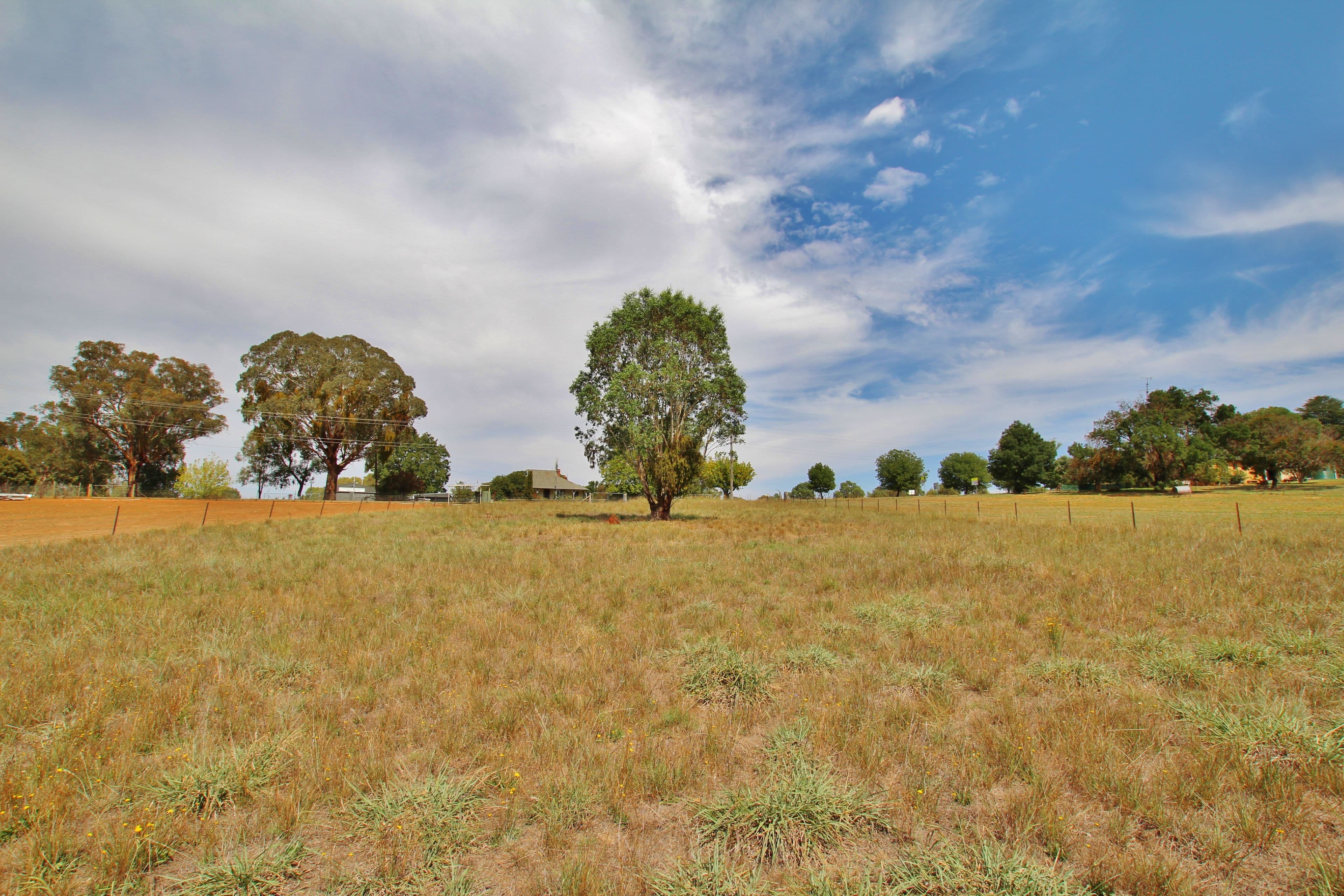 Lot 3 Rose Street, Wombat Via, Young NSW 2594, Young - Thumbnail 4