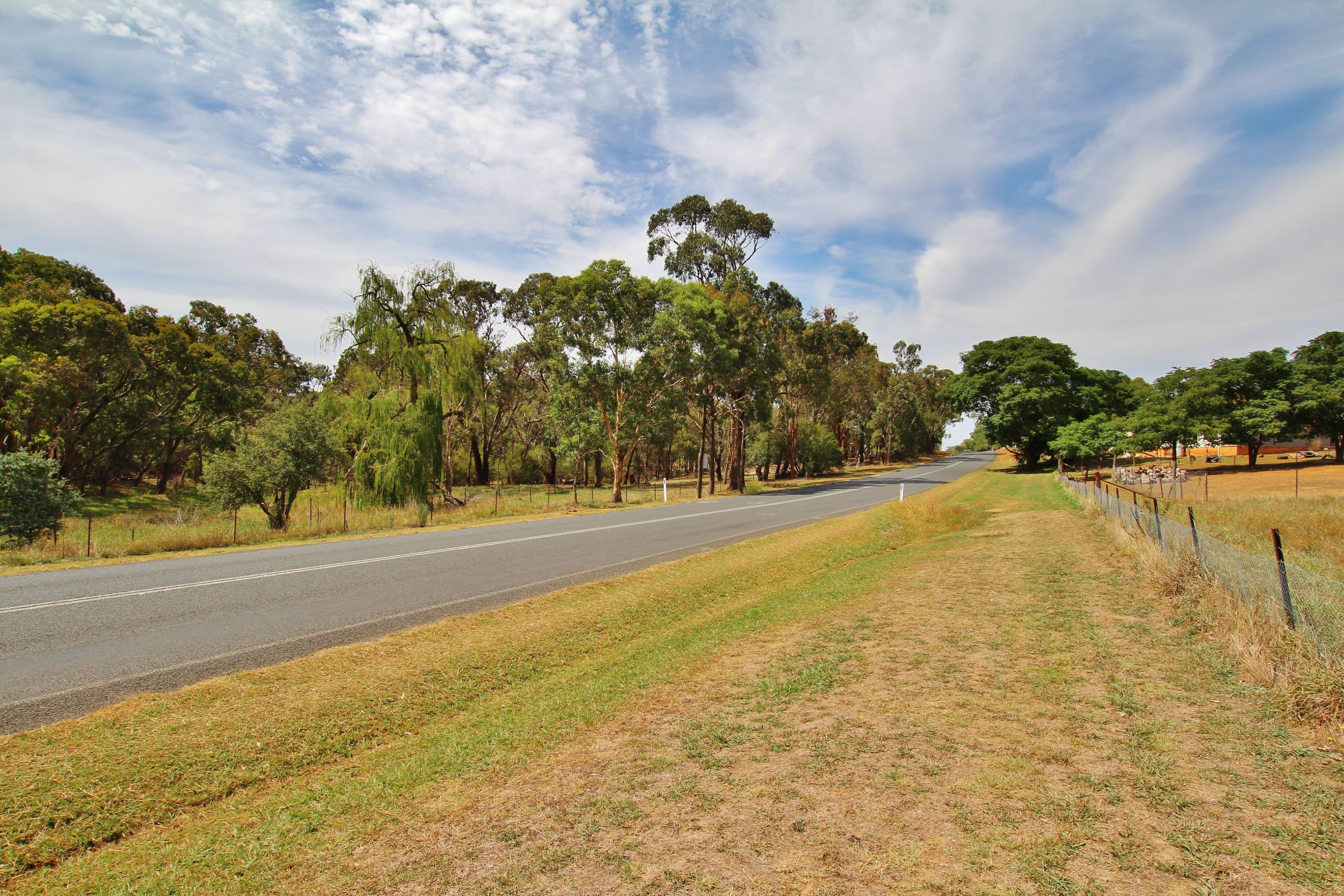 Lot 3 Rose Street, Wombat Via, Young NSW 2594, Young - Thumbnail 5