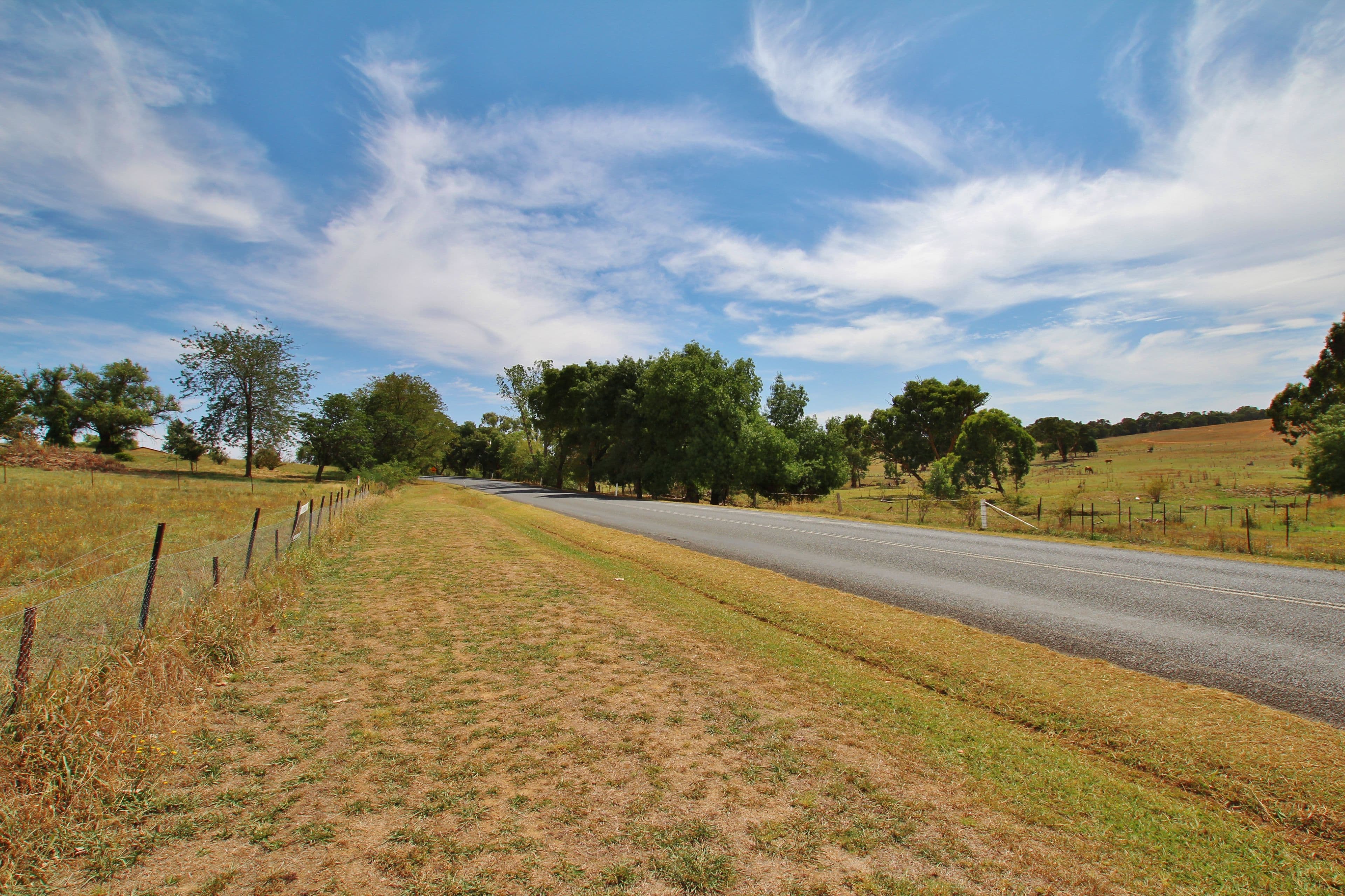 Lot 3 Rose Street, Wombat Via, Young NSW 2594, Young - Thumbnail 6