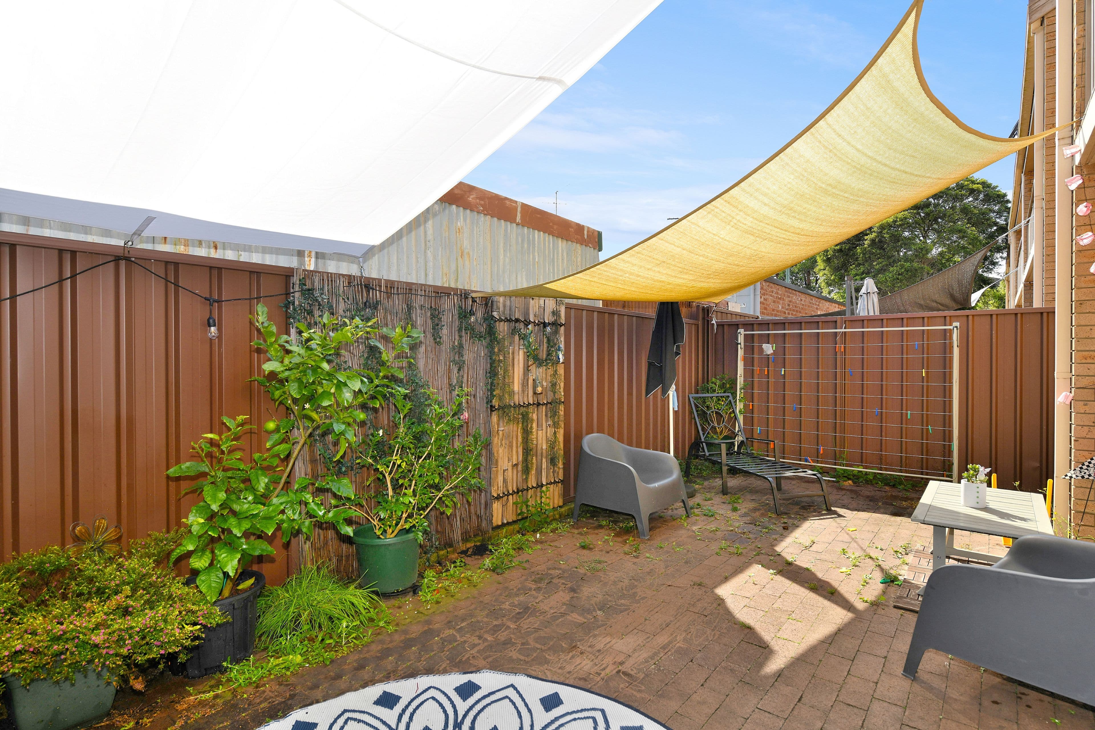 17 Hayward Street, Kingsford NSW 2032, Kingsford - Thumbnail 4