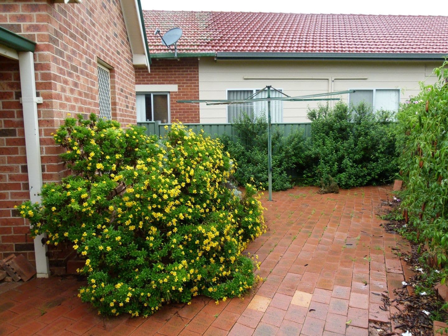 56 Johnson Street, FORBES NSW 2871, Forbes - Thumbnail 3