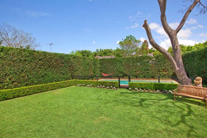71  Todman Avenue, KENSINGTON NSW 2033, Kensington - Thumbnail 2