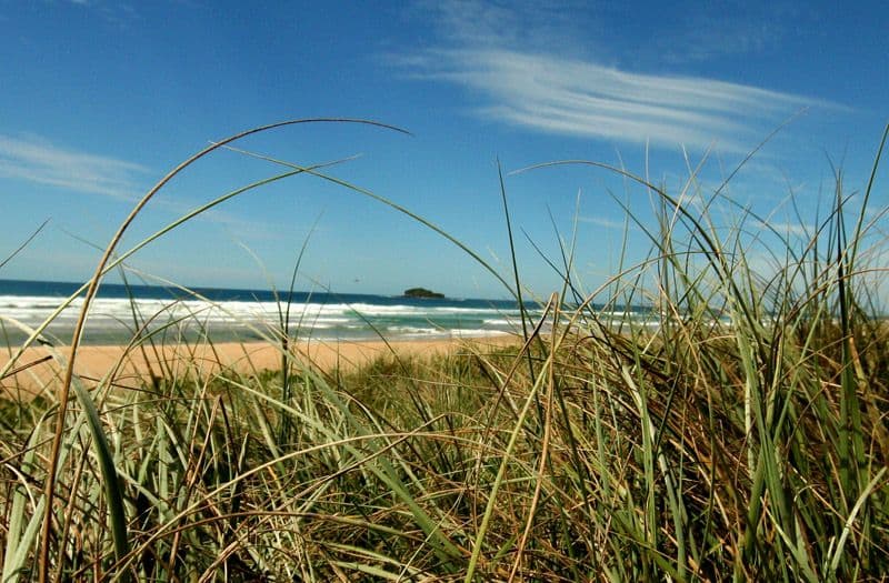 53 Mudjimba Esplanade, MUDJIMBA QLD 4564, Mudjimba - Thumbnail 4