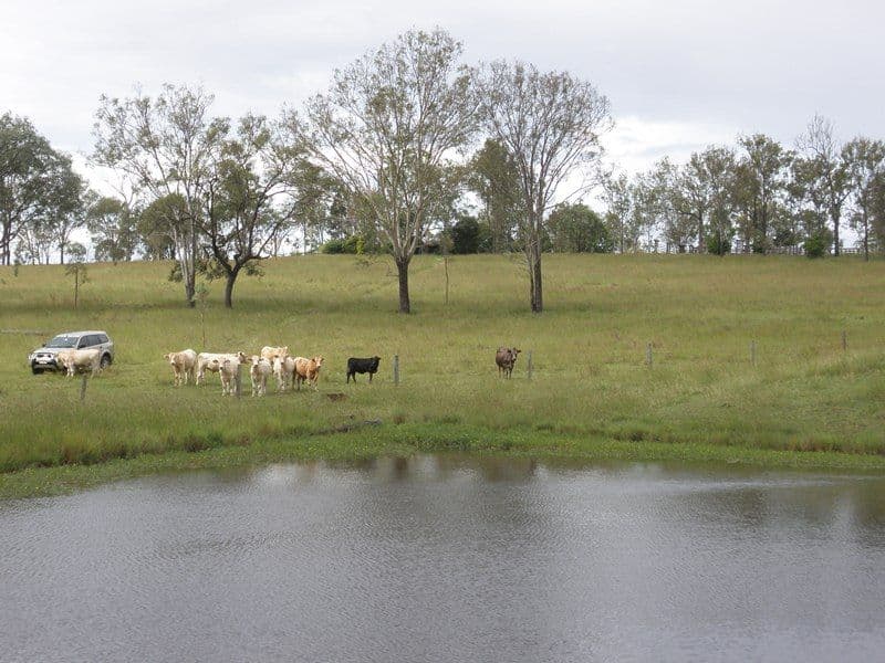 MOUNT FORBES QLD 4340, Mount Forbes - Image 1
