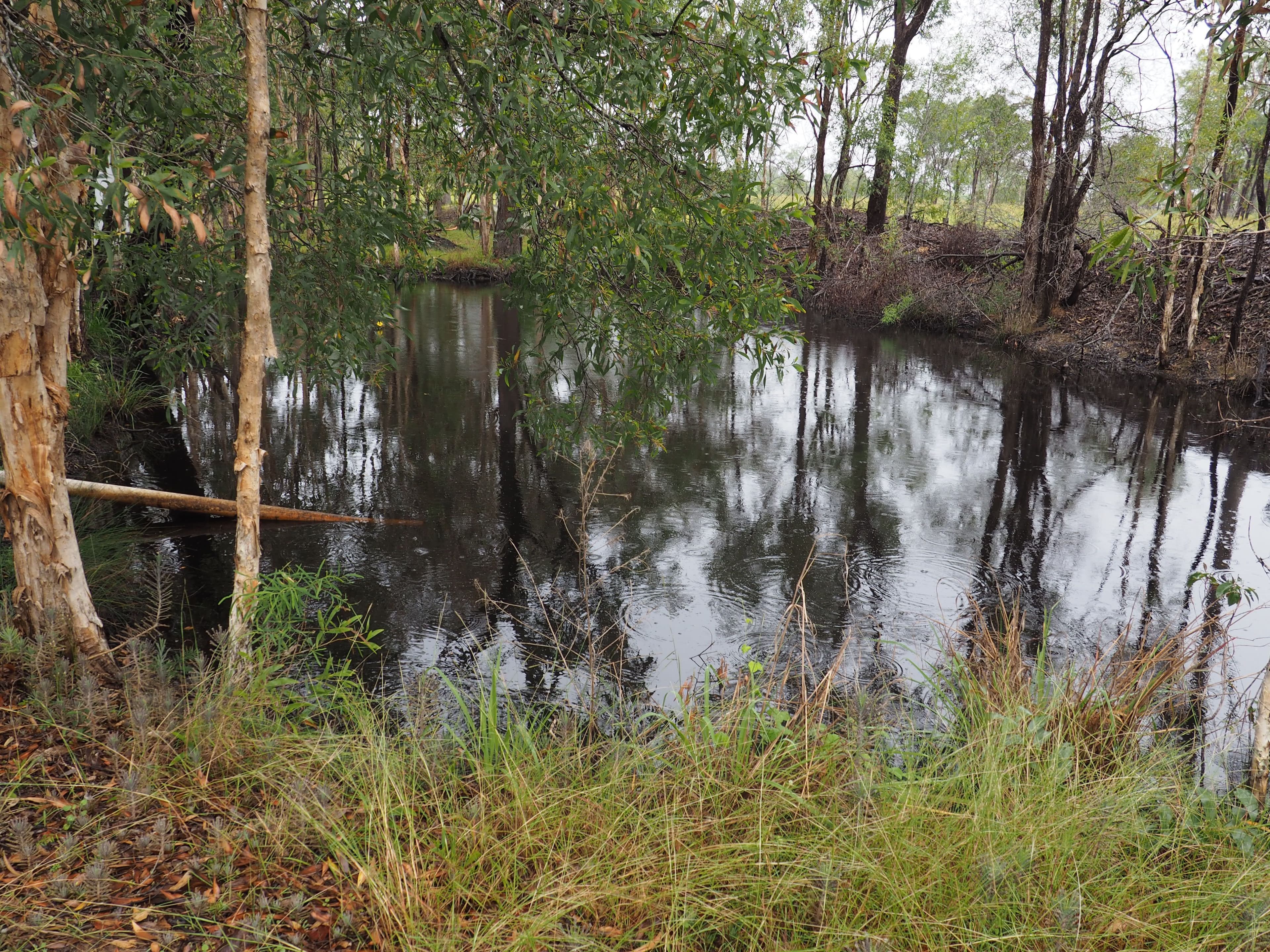 75 Carter Lane, Dundathu QLD 4650, Dundathu - Thumbnail 4