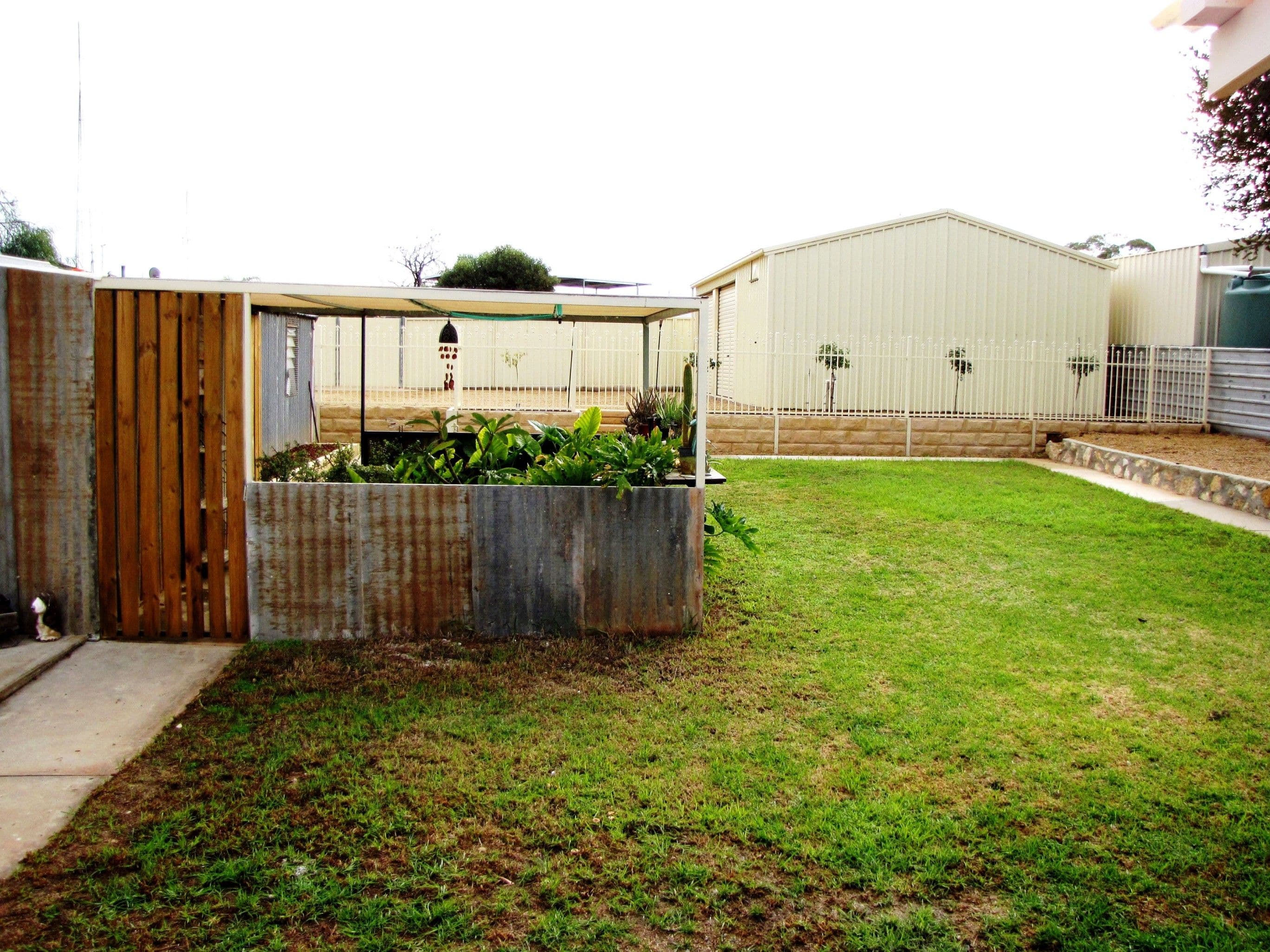 23 Tonkin Avenue, Barmera SA 5345, Barmera - Thumbnail 7