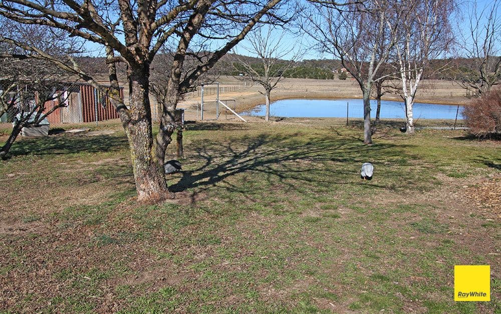 329 Weeroona Drive, Wamboin - Thumbnail 8