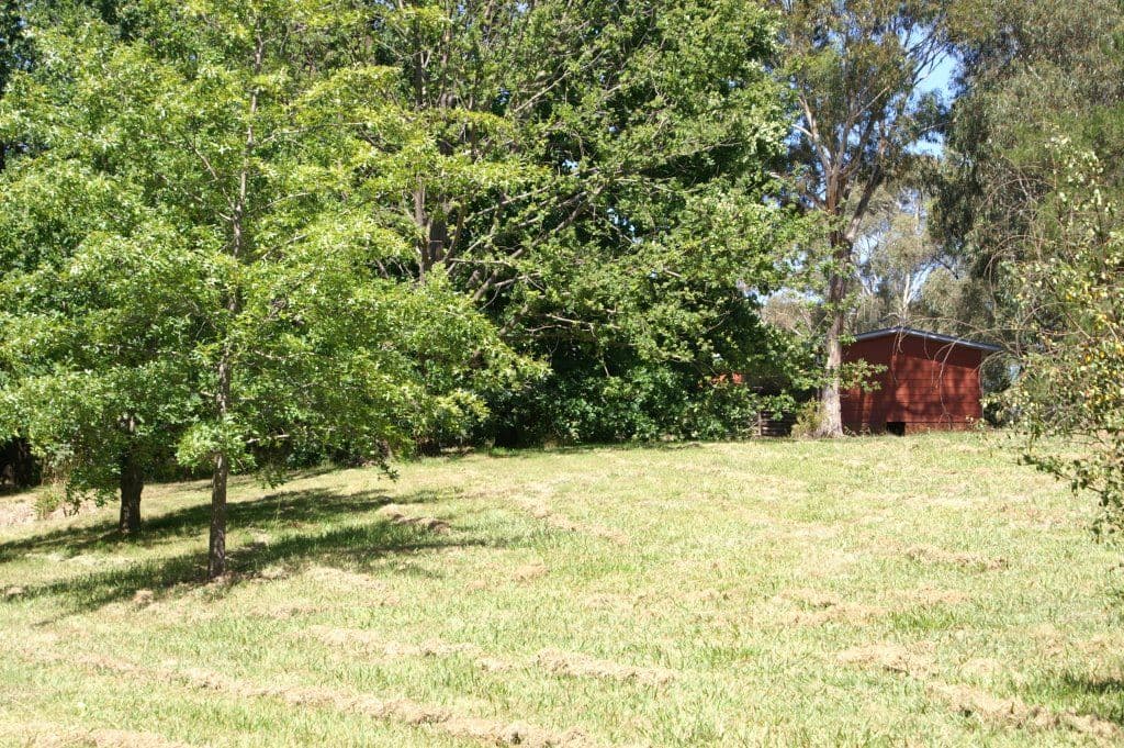 7 Don Peters Place, Orange NSW 2800, Orange - Thumbnail 3