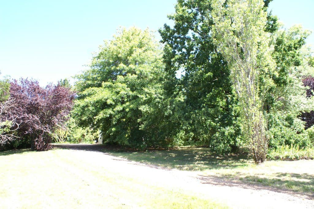 7 Don Peters Place, Orange NSW 2800, Orange - Thumbnail 5