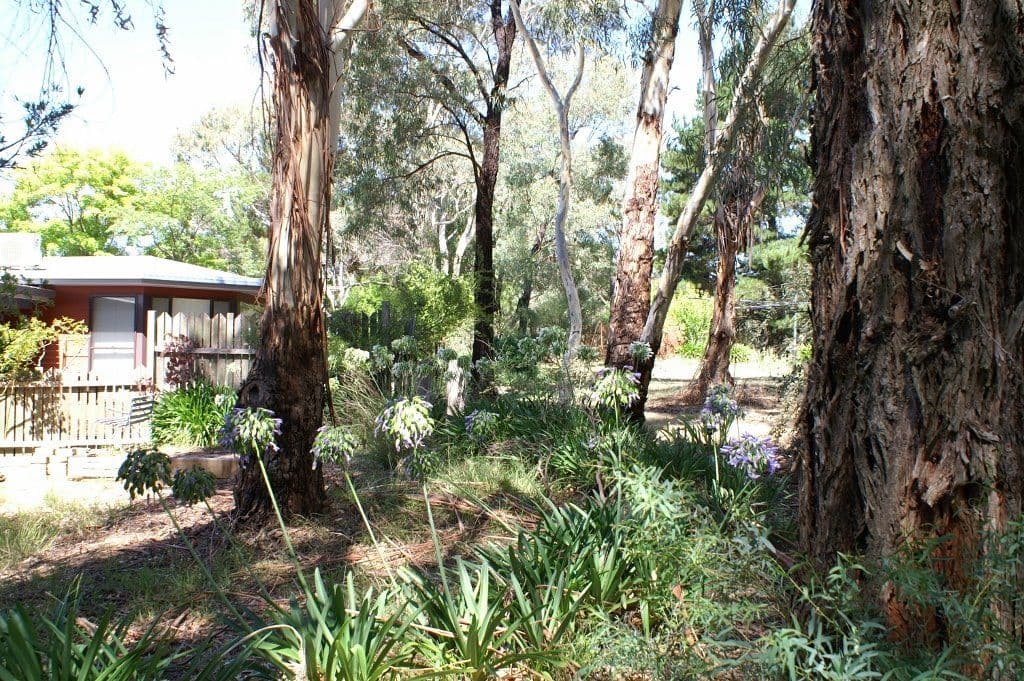 7 Don Peters Place, Orange NSW 2800, Orange - Thumbnail 6