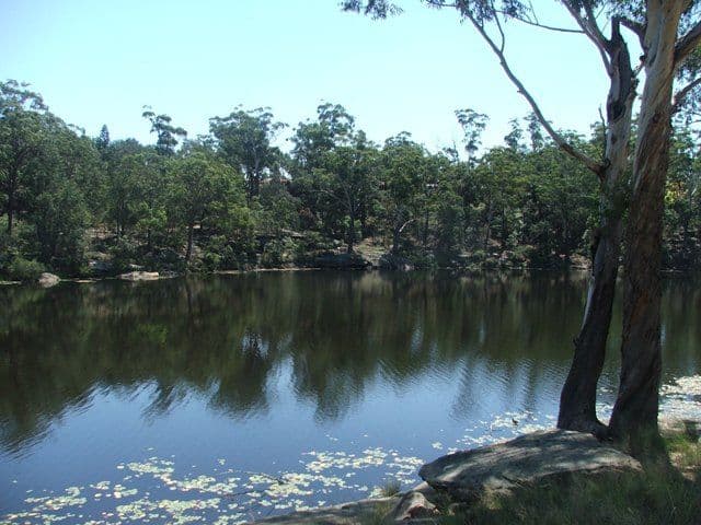 23 William Street, NORTH PARRAMATTA NSW 2151, North Parramatta - Thumbnail 5